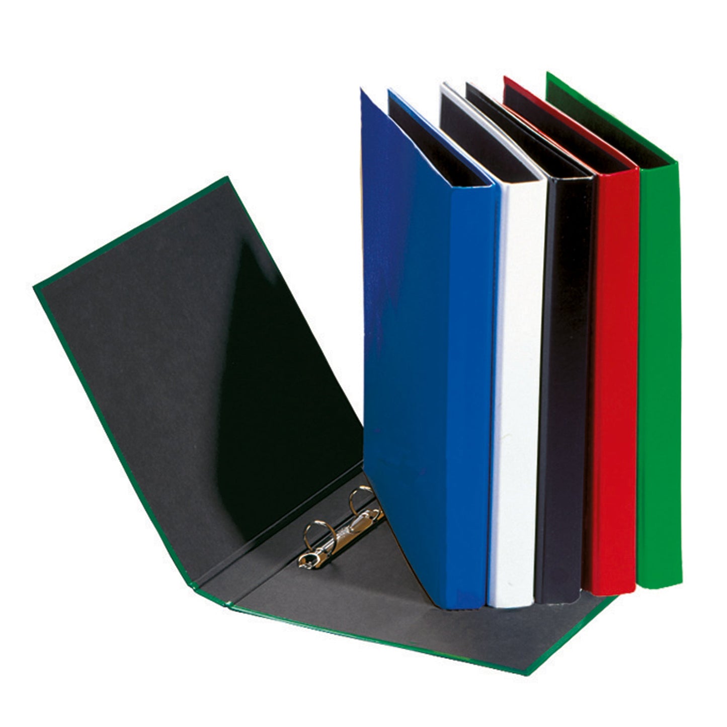 PAGNA Ringbuch Basic Colours DIN A5 Pappe grün