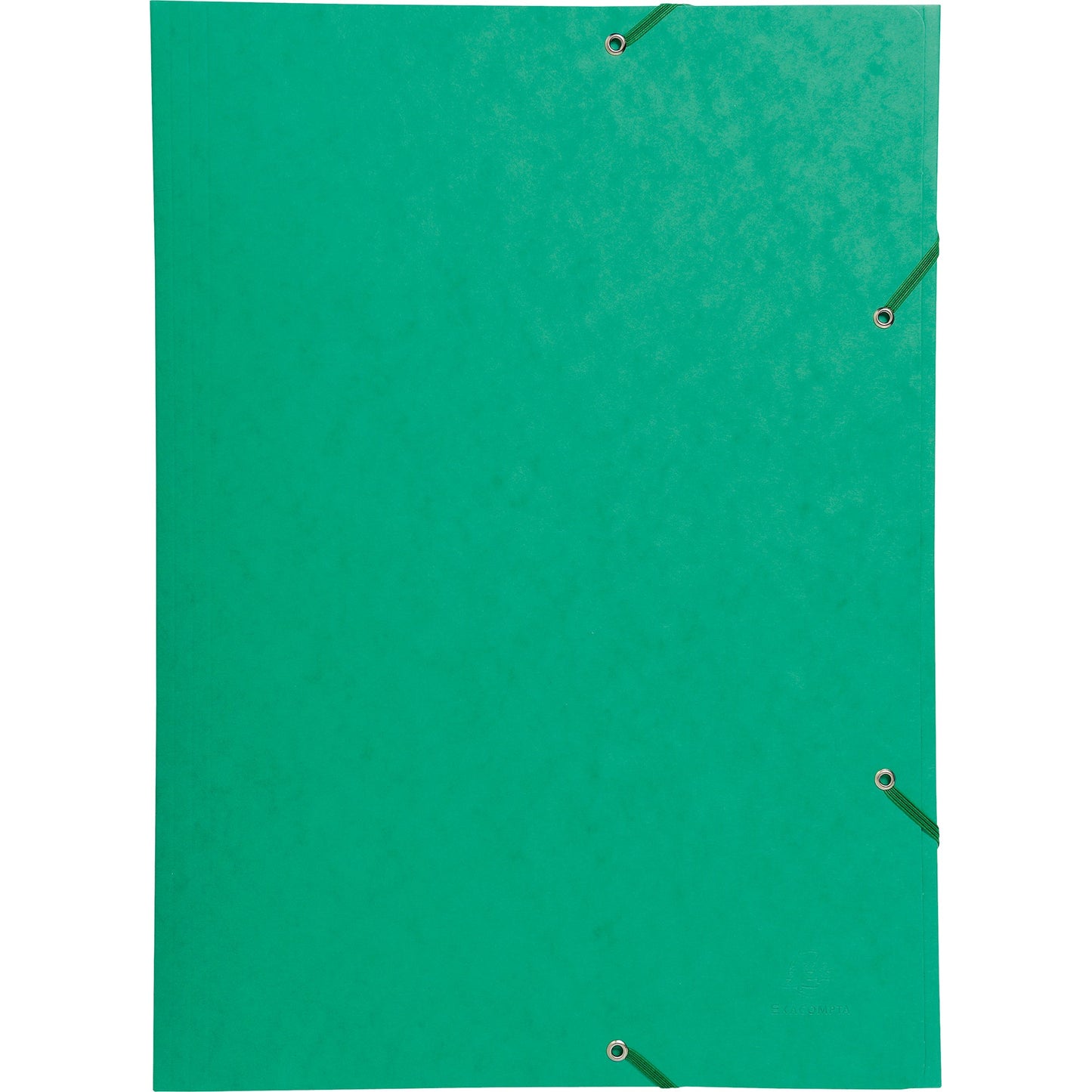 Exacompta Sammelmappe DIN A3 600g/m² Colorspankarton grün