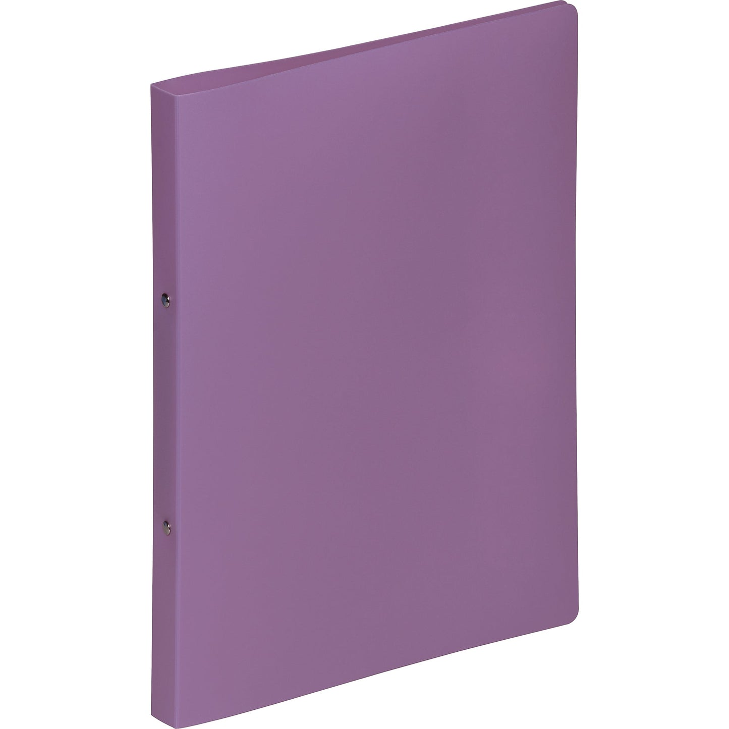 PAGNA Ringbuch DIN A4 Polypropylen lila
