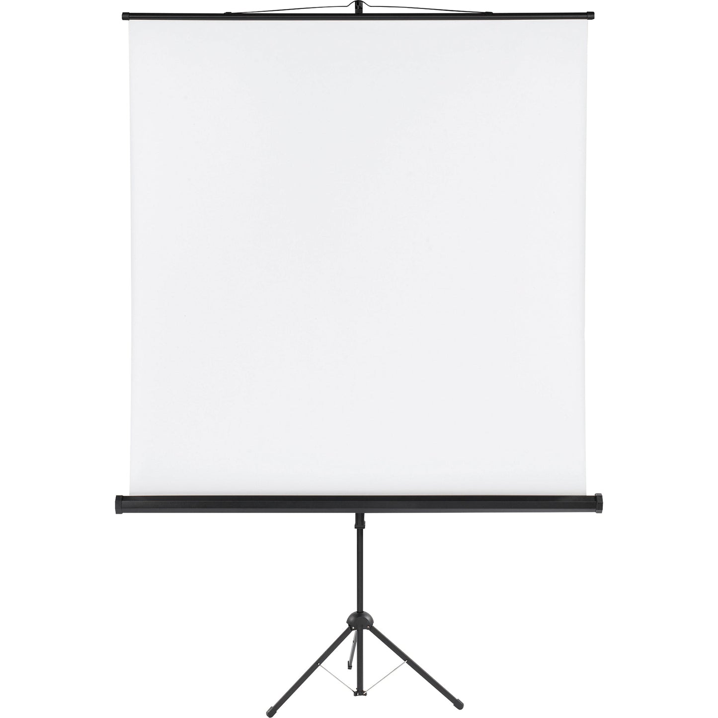 FRANKEN Stativleinwand X-tra!Line 1:1 6,2kg weiß