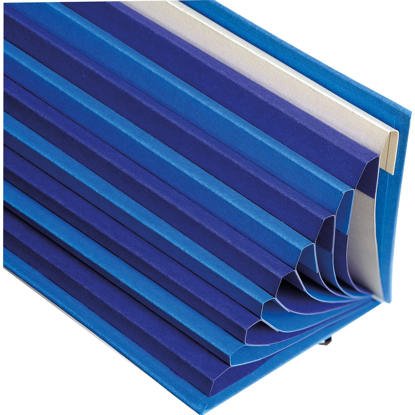 Exacompta Ordnungsmappe Forever DIN A4 270g/m² Karton, 100 % recycelt Farbe: hellblau/dunkelblau 9 Fächer