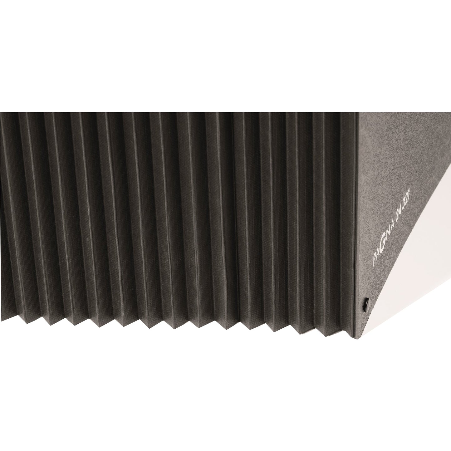 PAGNA Pultordner Classic DIN A4 1-31 Hartpappe schwarz 32 Fächer