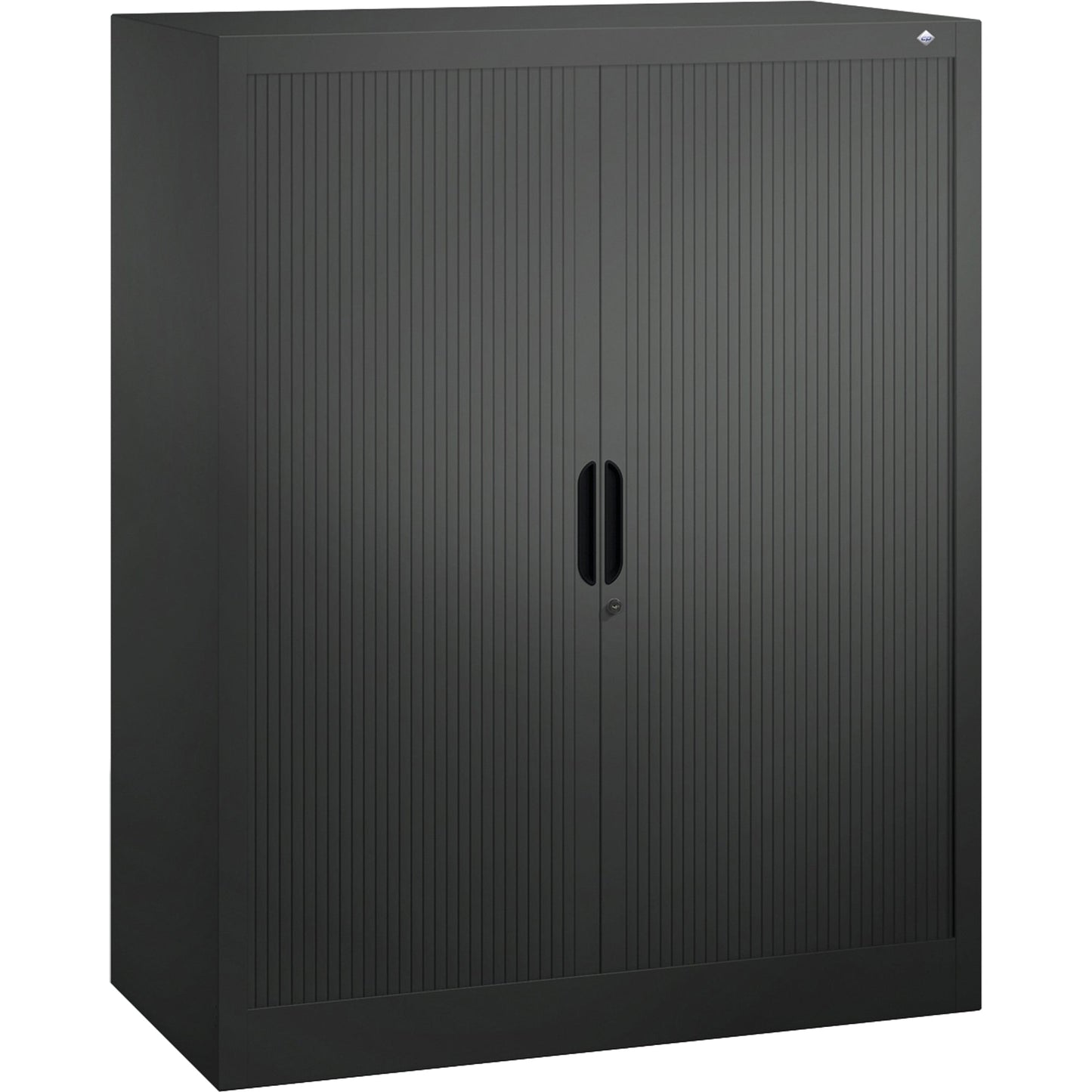 C+P Rollladenschrank Omnispace 1.000 x 1.230 x 420 mm (B x H x T) 2 Fachböden