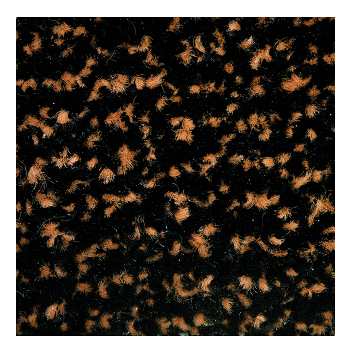 Doortex Schmutzfangmatte ultimat® Innenbereich 90 x 150 cm (B x L) 70 % Mikrofaser/30 % Polypropylen Material der Rückseite: Vinyl/Gummi braun