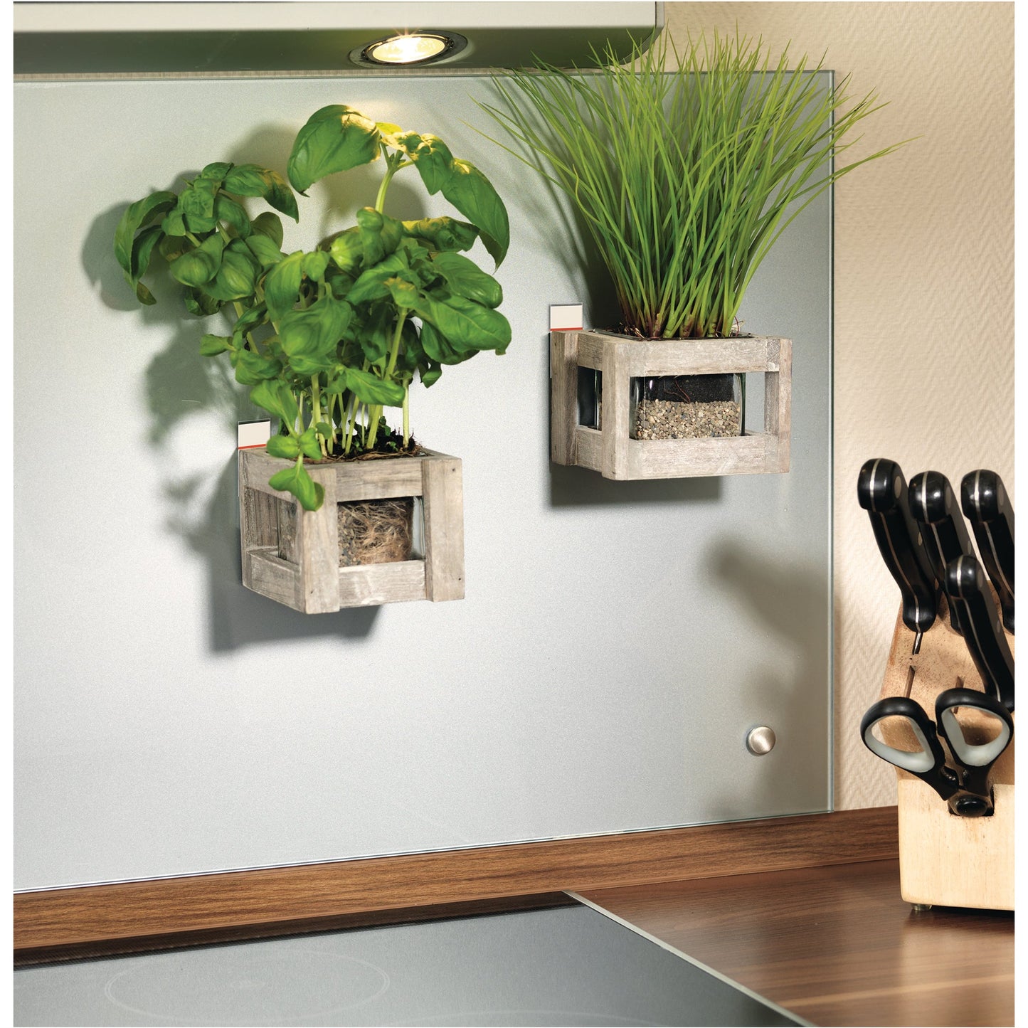 tesa® Klebepad Powerstrips® Large 20 x 50 mm (B x L) weiß 10 St./Pack.