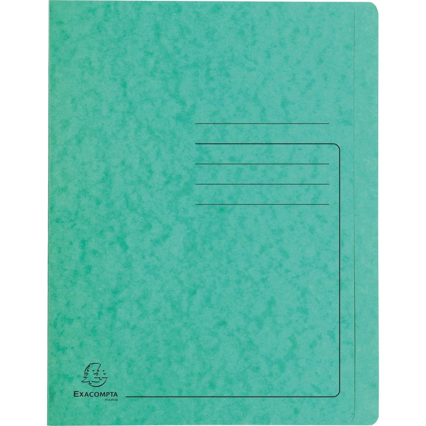Exacompta Schnellhefter DIN A4 355g/m² Colorspankarton grün