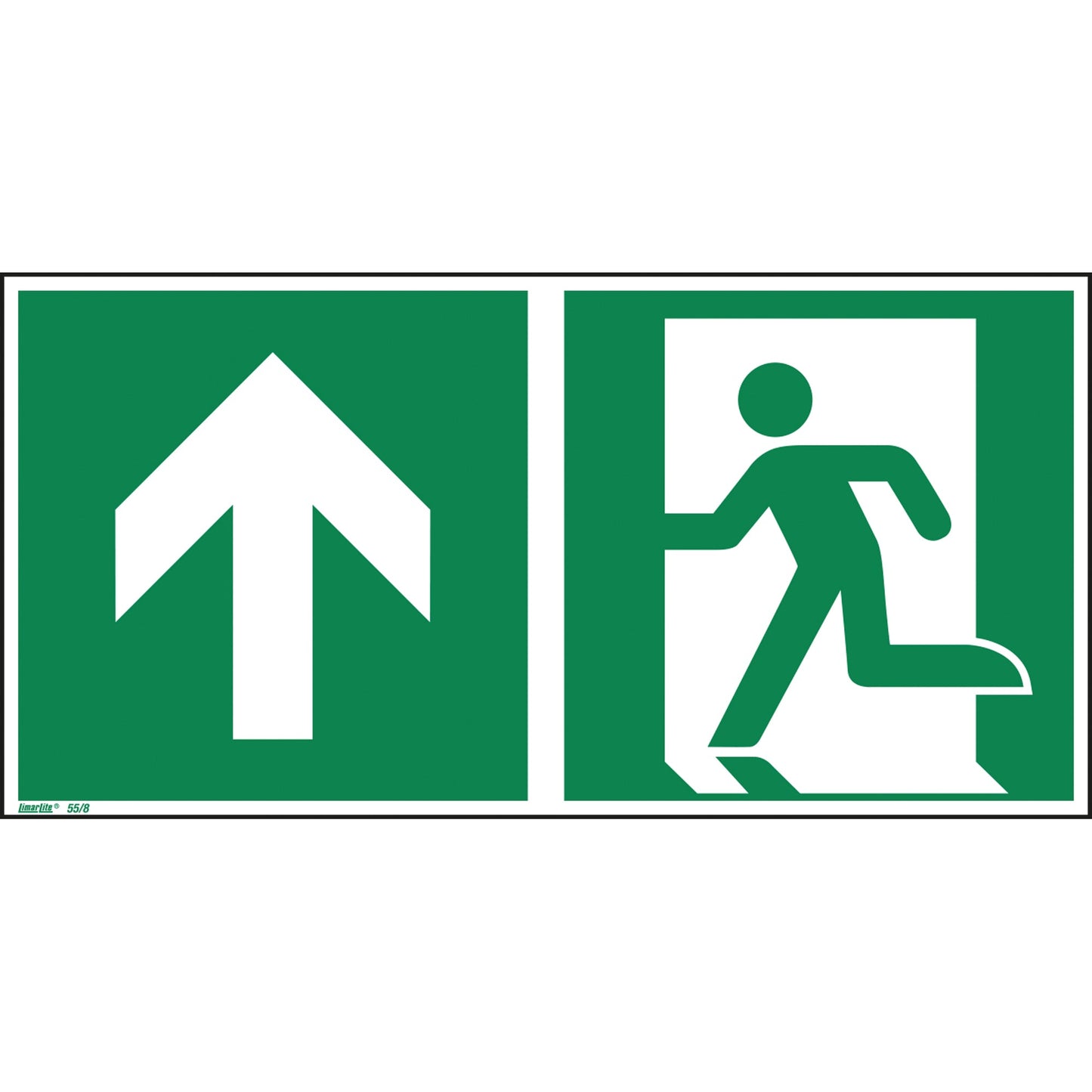 Hinweisschild 30 x 15 cm (B x H) E001 geradeaus, durch die Tür oder aufwärts Hart-PVC