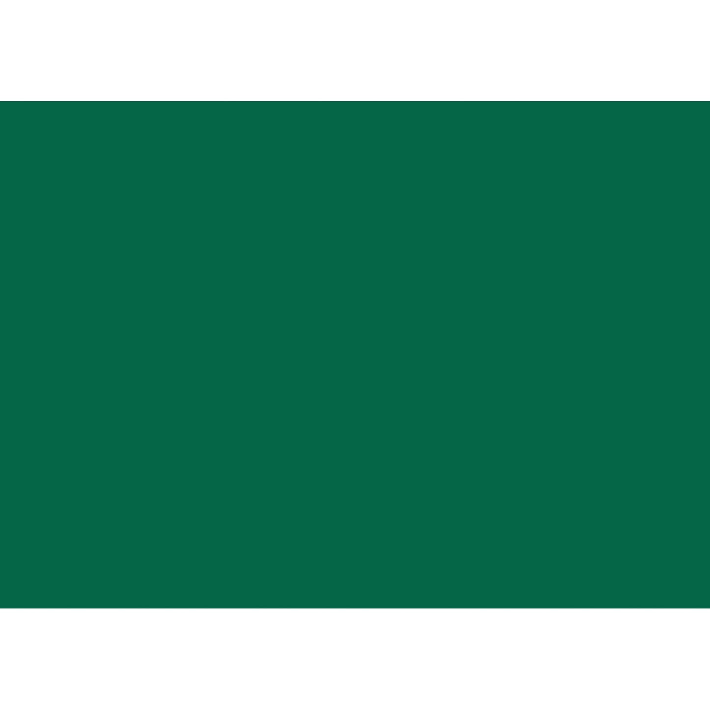 HEYDA Tonzeichenpapier 50 x 70 cm (B x H) 130g/m² dunkelgrün 25 St./Pack.