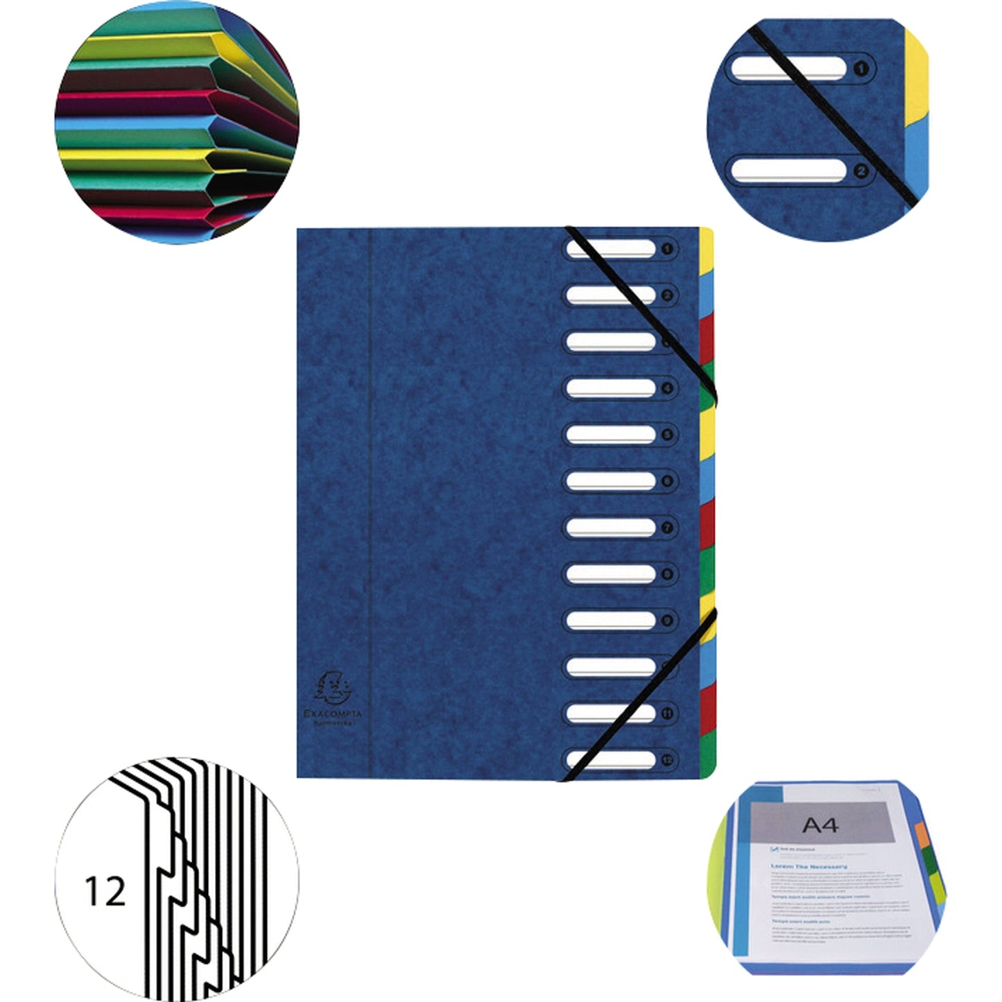 Exacompta Ordnungsmappe Harmonika® DIN A4 225g/m² Colorspankarton Farbe: blau Farbe des Fächerblocks: mehrfarbig 12 Fächer
