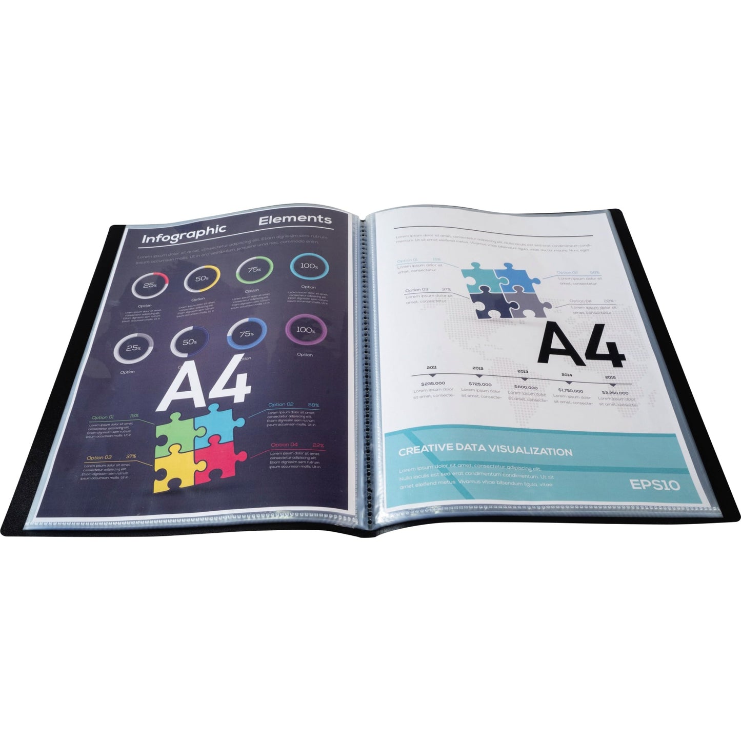 Exacompta Sichtbuch Opak DIN A4 Polypropylen schwarz 20 Hüllen