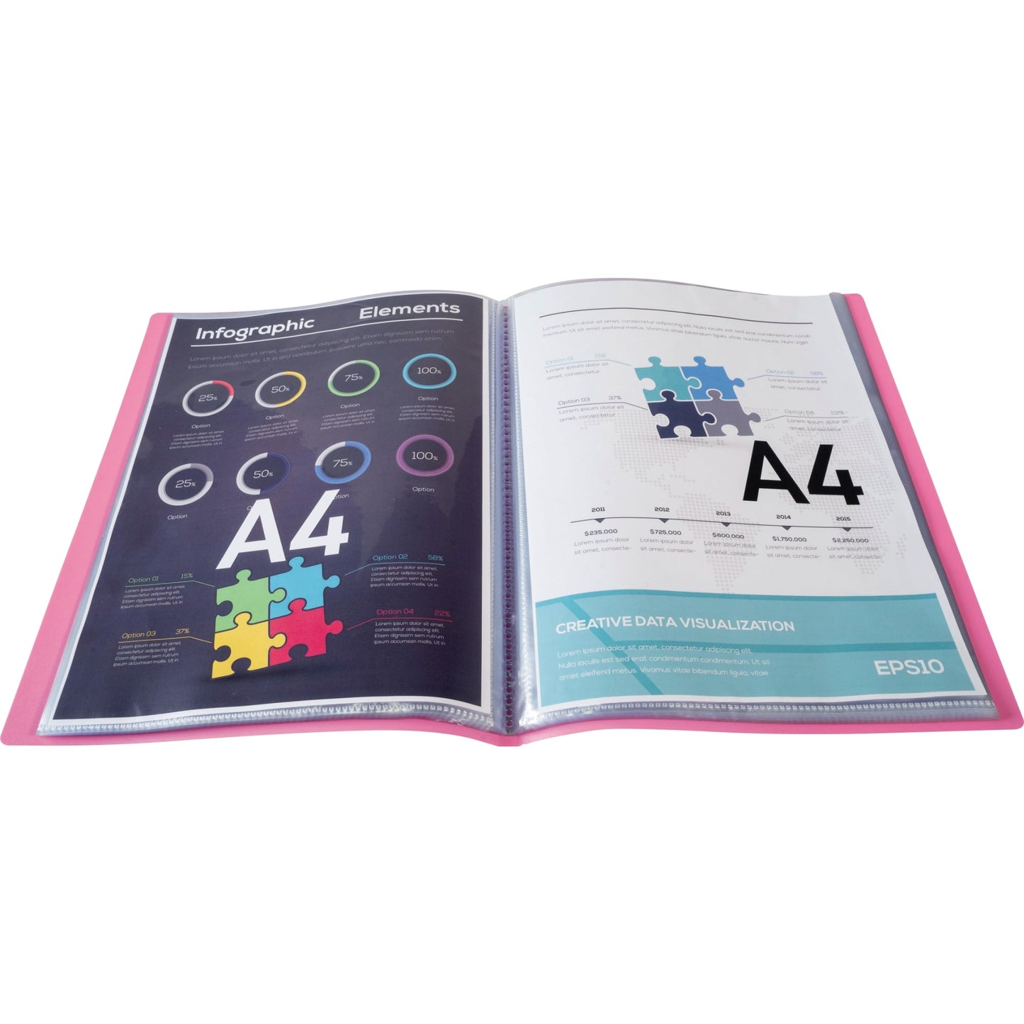 Exacompta Sichtbuch Opak DIN A4 Polypropylen rosa 20 Hüllen