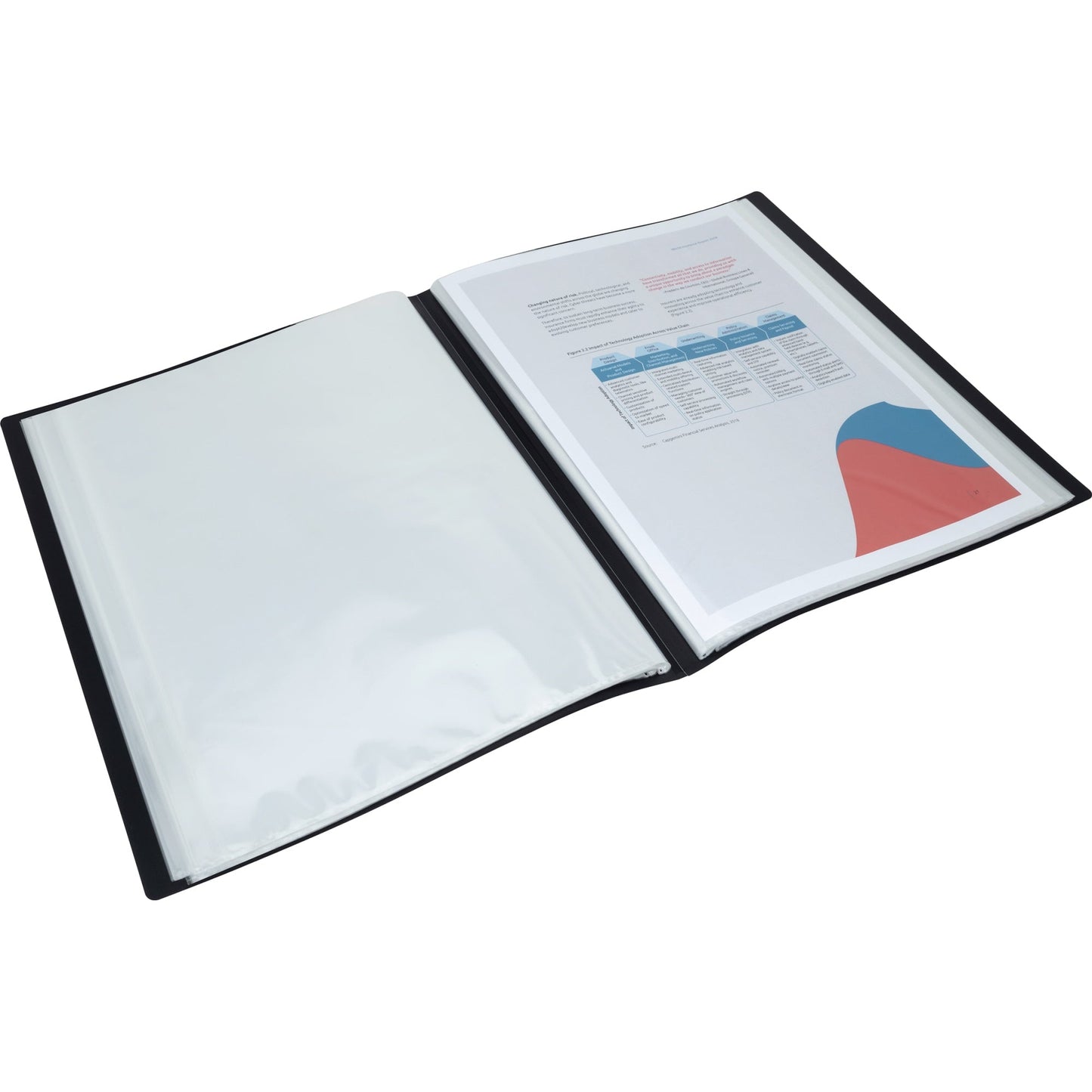 RAPESCO Sichtbuch Germ-SavvyT DIN A4 Polypropylen schwarz 100 Hüllen 2 St./Pack.