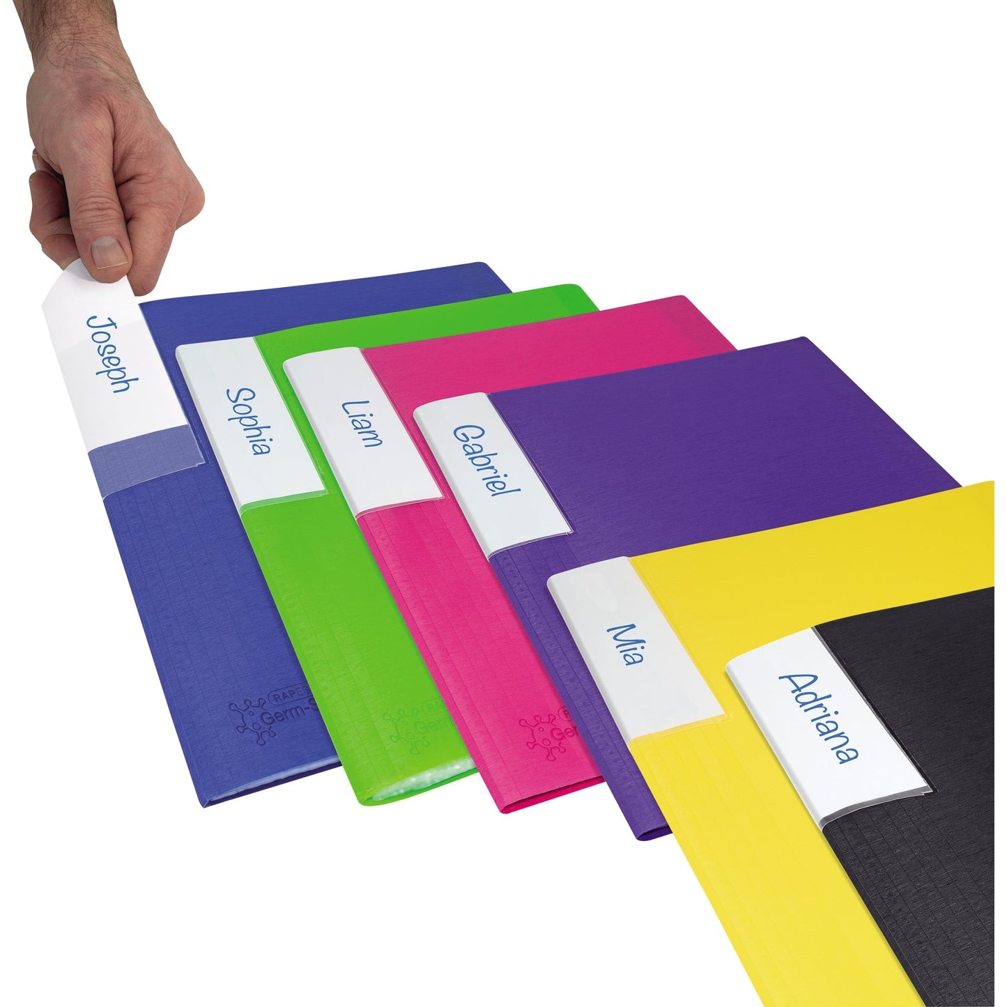 RAPESCO Sichtbuch Germ-SavvyT DIN A4 Polypropylen farbig sortiert 20 Hüllen 6 St./Pack.