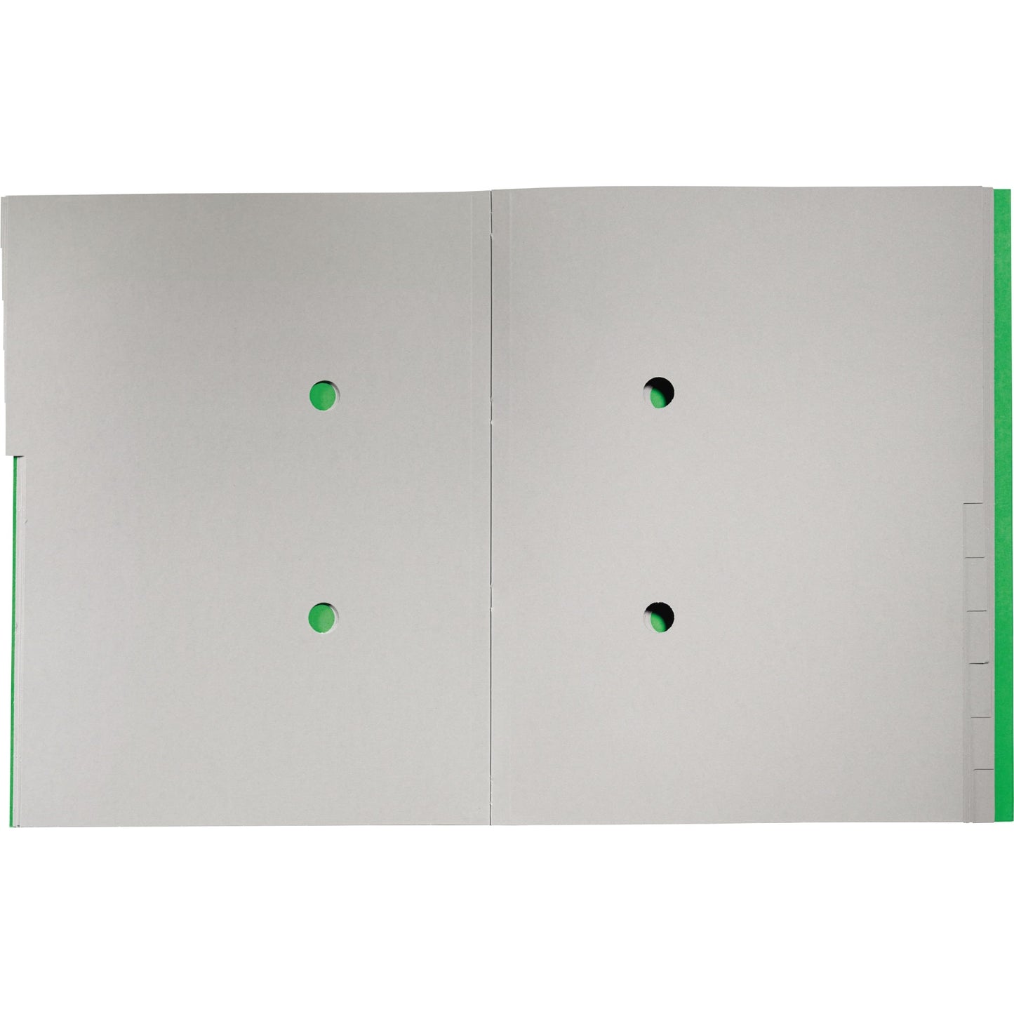 Leitz Ordnungsmappe Recycle DIN A4 275g/m² Karton, 100 % recycelt Farbe: grün Farbe des Fächerblocks: grau 12 Fächer