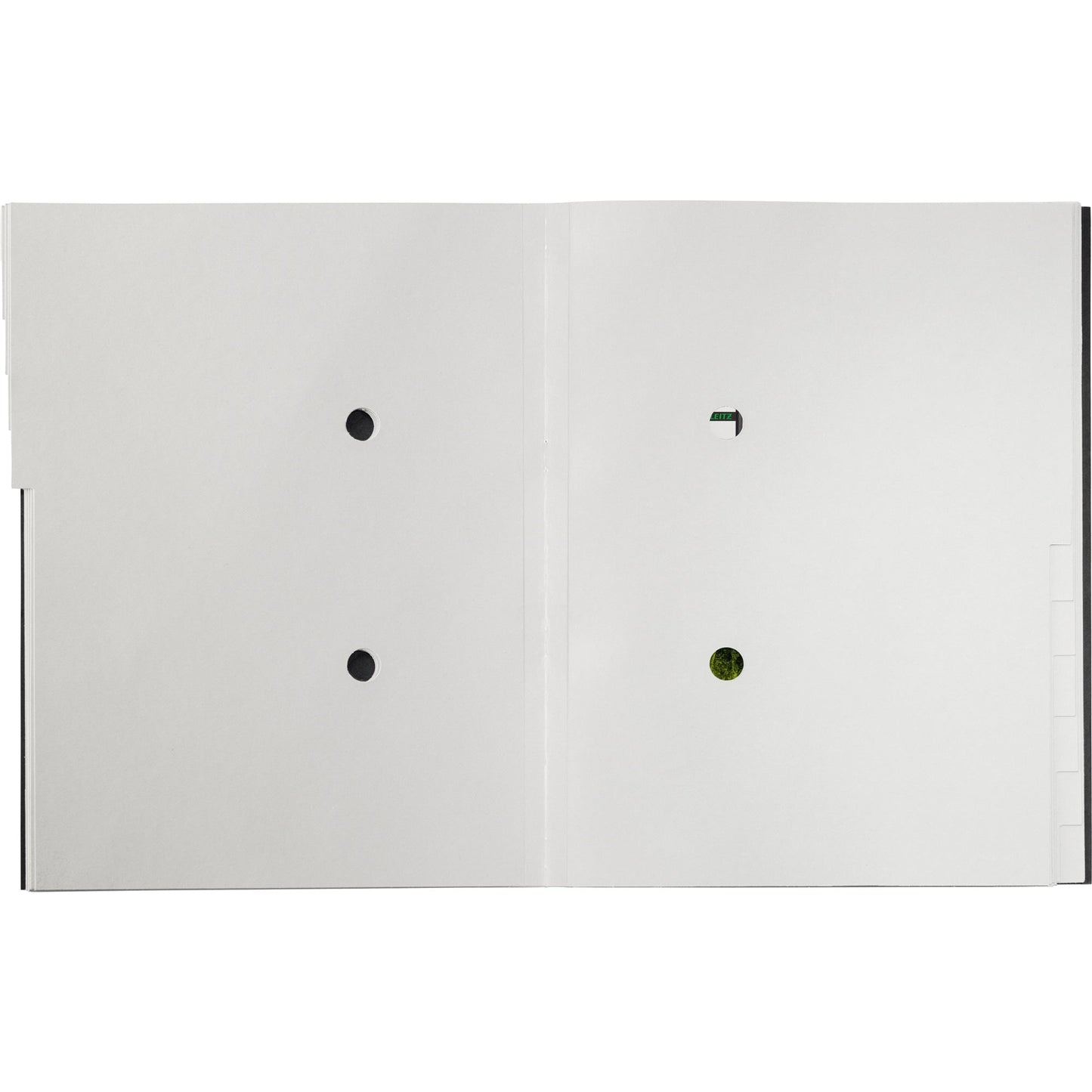 Leitz Ordnungsmappe Recycle DIN A4 275g/m² Karton, 100 % recycelt Farbe: schwarz Farbe des Fächerblocks: grau 12 Fächer