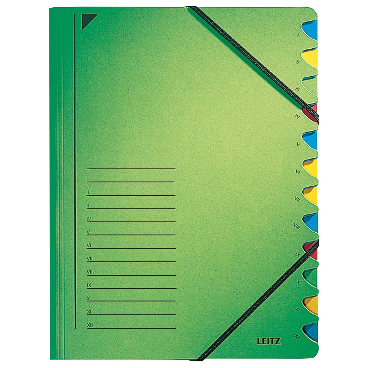 Leitz Ordnungsmappe DIN A4 350g/m² Pendareckarton, recycelt Farbe: grün Farbe des Fächerblocks: mehrfarbig 12 Fächer