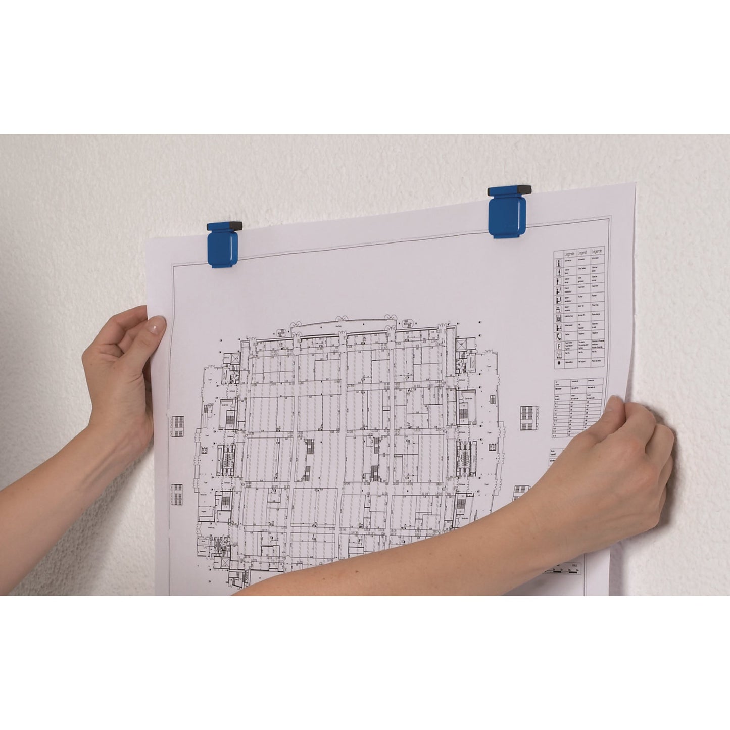 MAUL Clip S Magnet 3,6 x 4 cm (B x L) Kunststoff blau 10 St./Pack.
