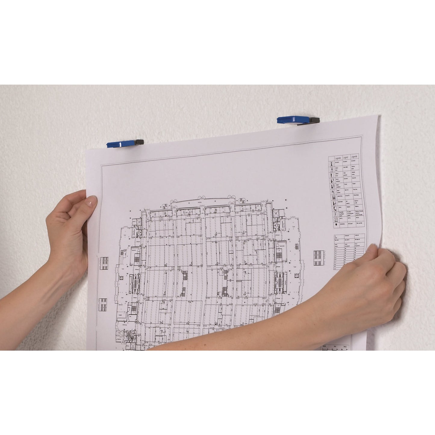 MAUL Clip S Magnet 3,6 x 4 cm (B x L) Kunststoff blau 10 St./Pack.