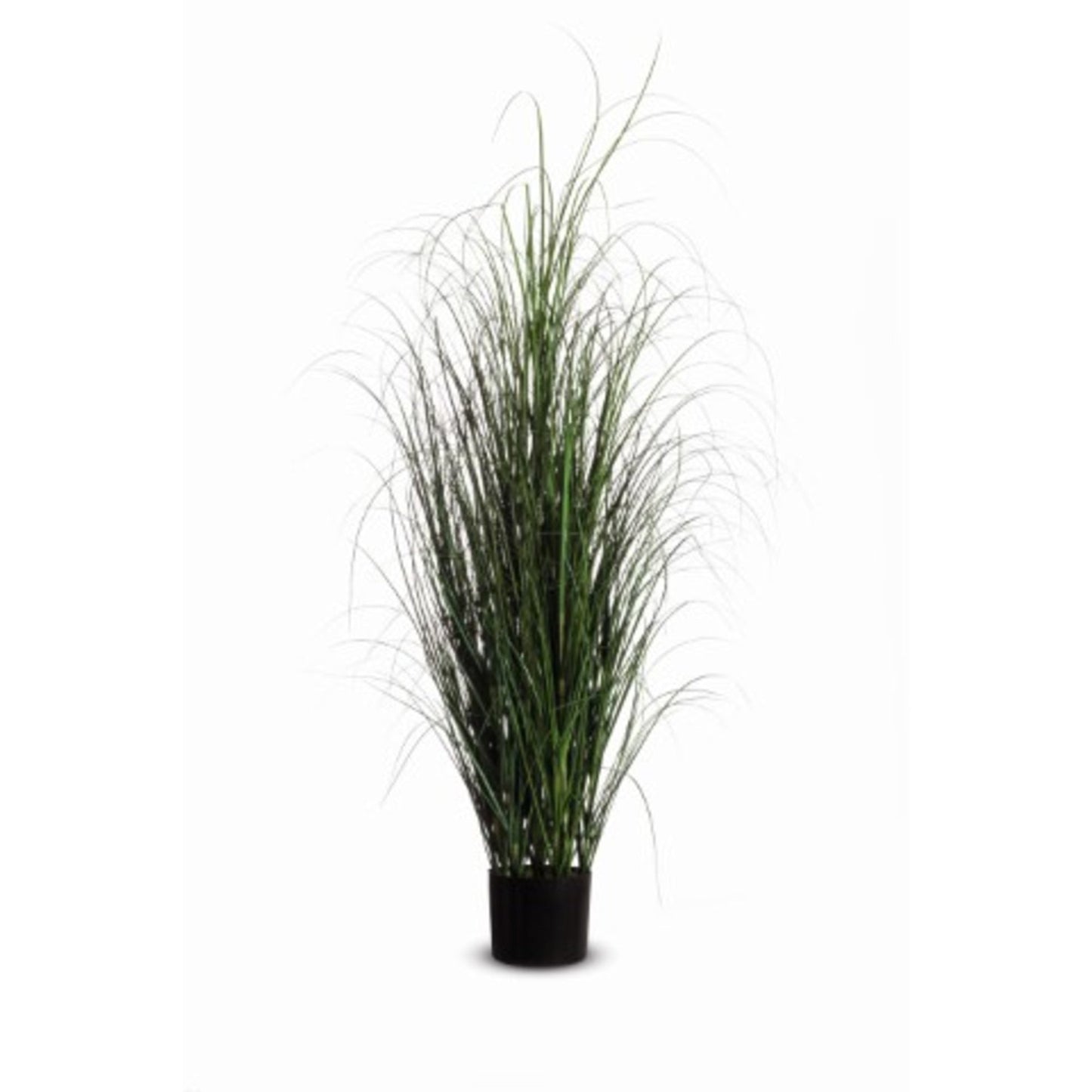 Paperflow Zimmerpflanze Gras 50 x 130 cm (B x H) PVC grün