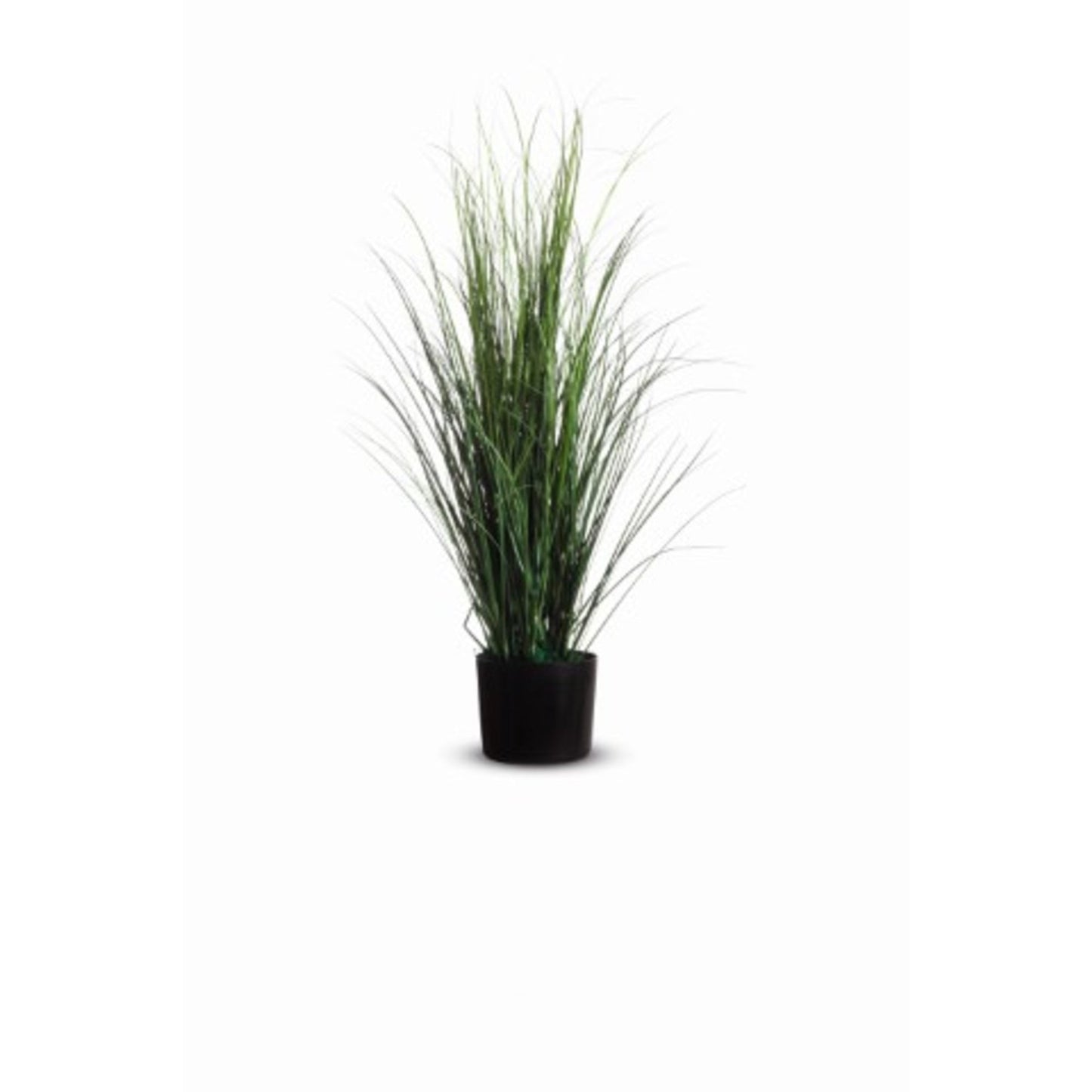 Paperflow Zimmerpflanze Gras 26 x 80 cm (B x H) PVC grün