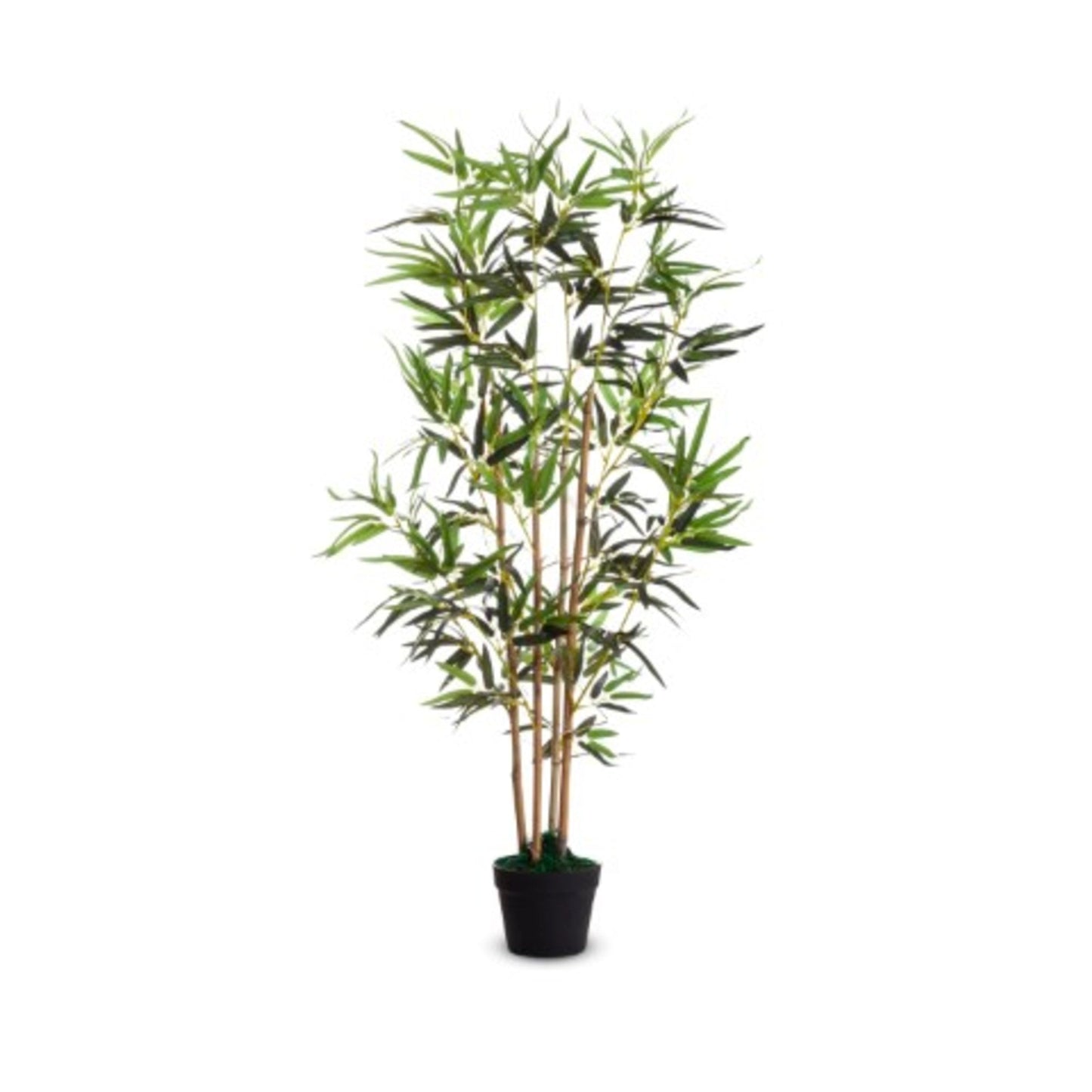 Paperflow Zimmerpflanze Bambus 52 x 120 cm (B x H) Polyester/Holz grün