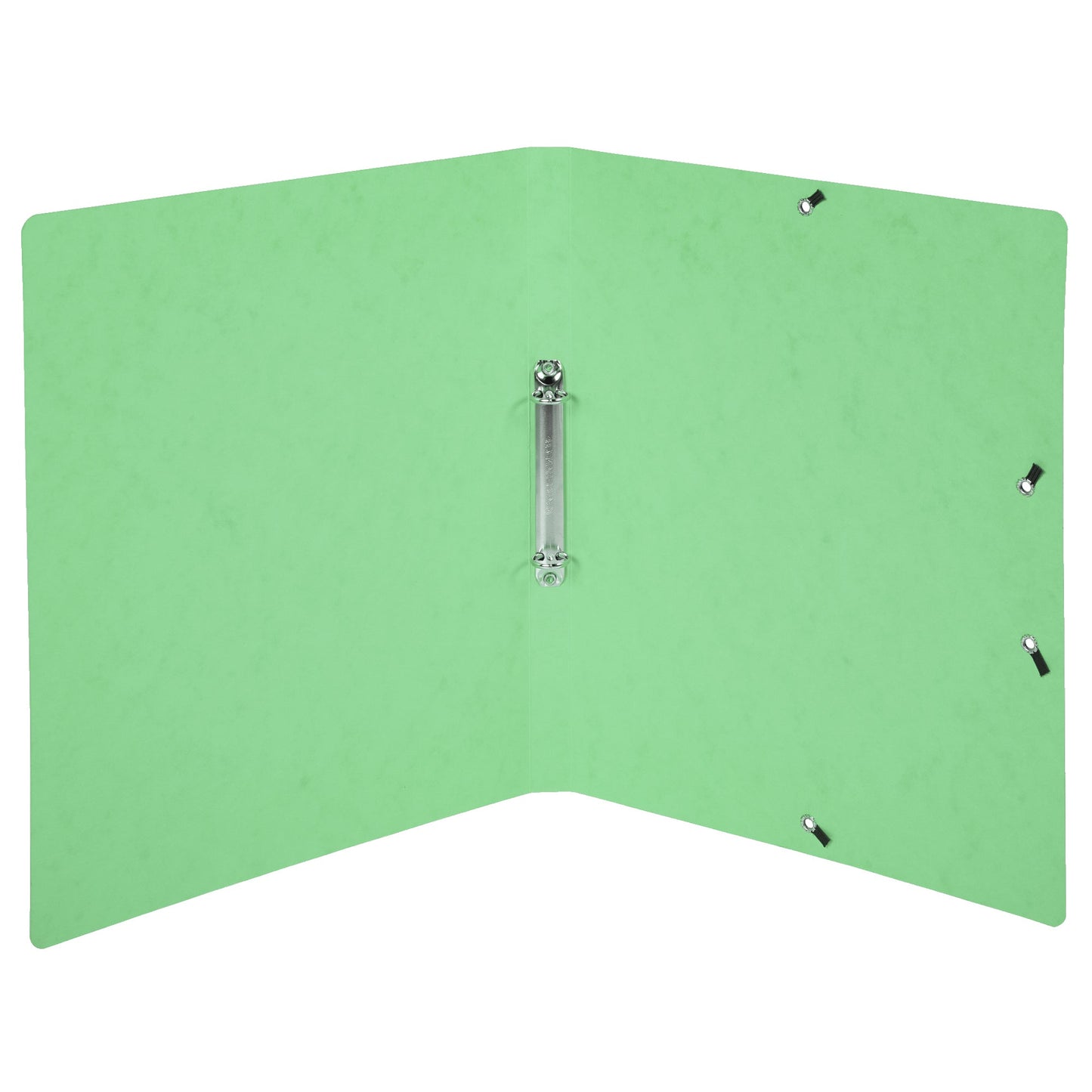 Exacompta Ringbuch DIN A4 Colorspankarton lindgrün