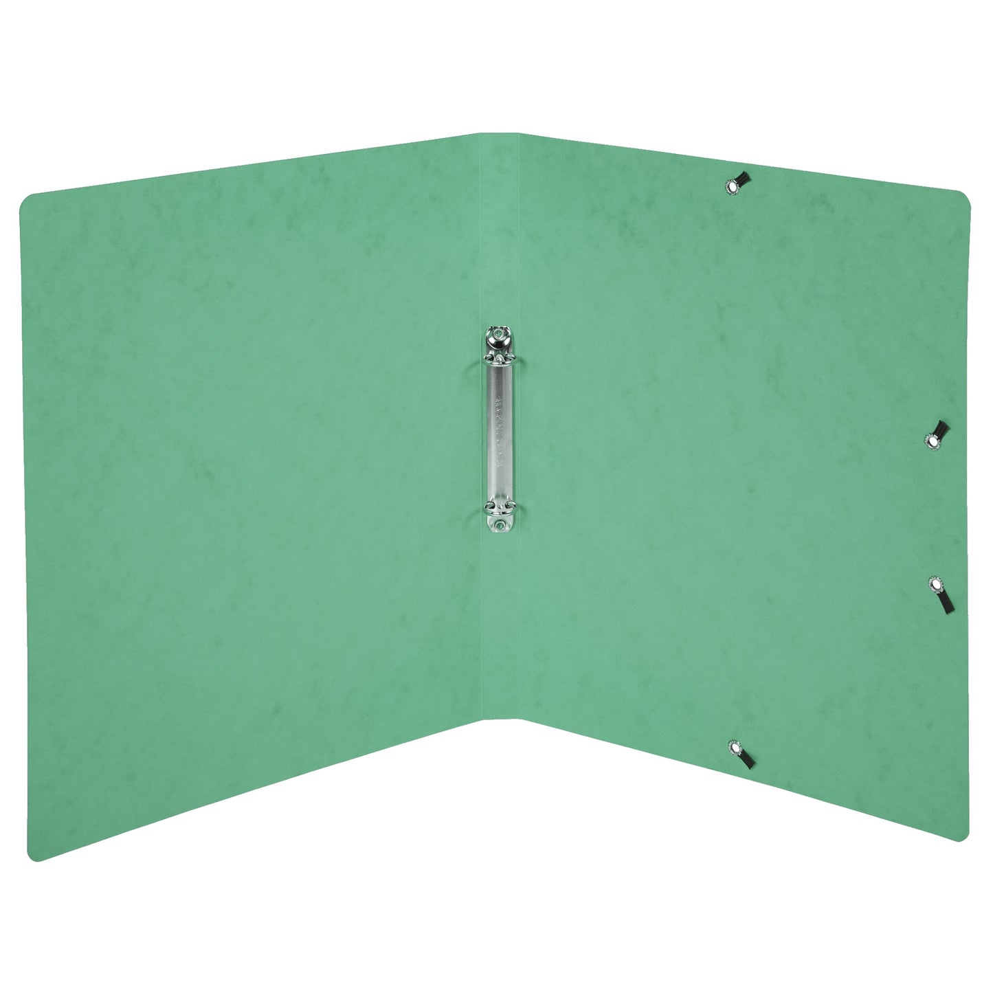 Exacompta Ringbuch DIN A4 Colorspankarton grün