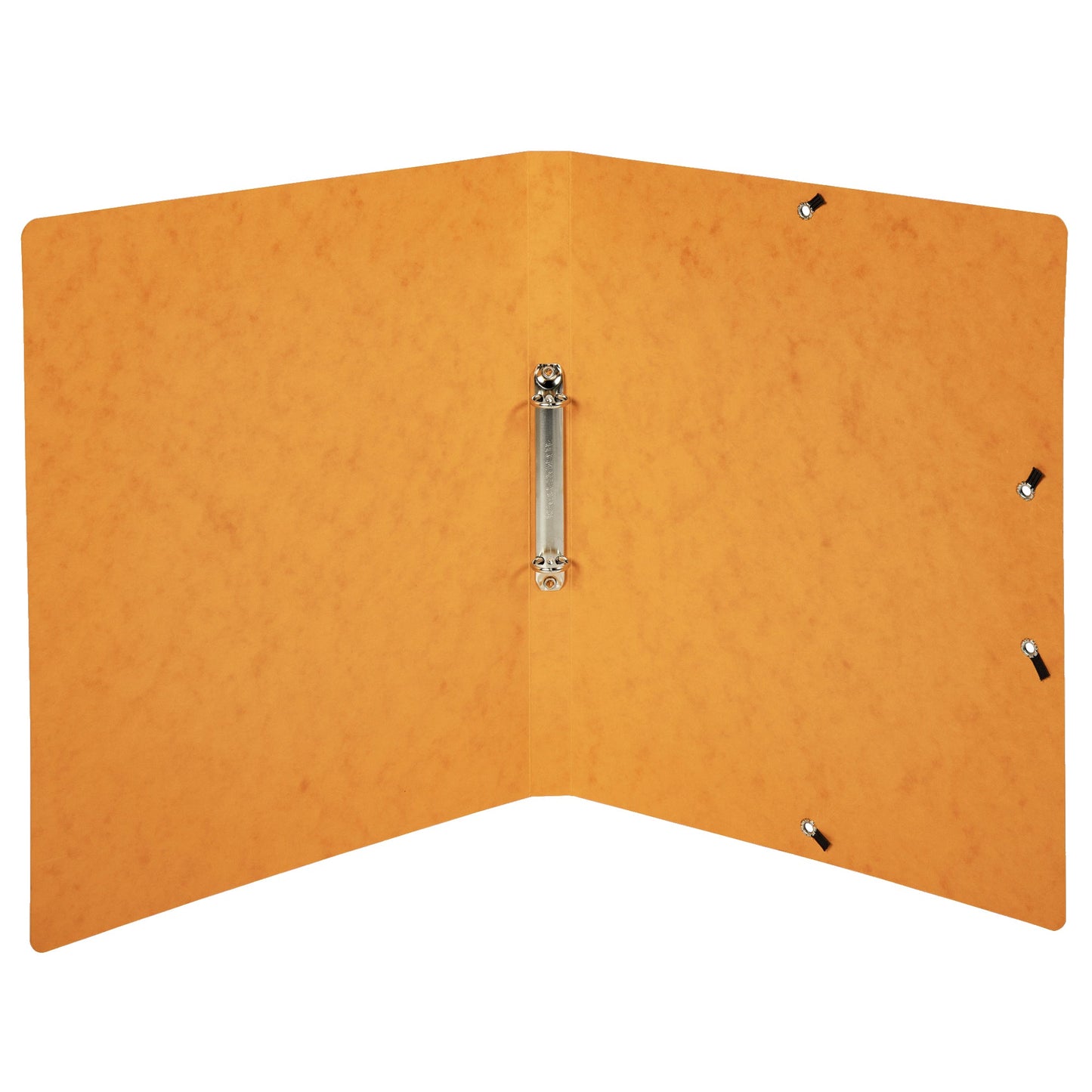 Exacompta Ringbuch DIN A4 Colorspankarton orange