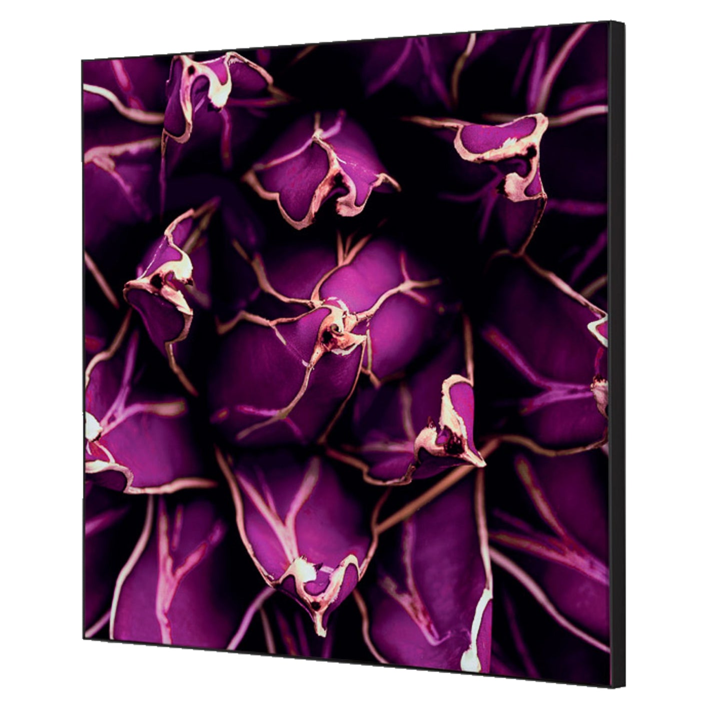 Showdown® Displays Dekobild Kaktus 40 x 40 cm (B x H) Holz