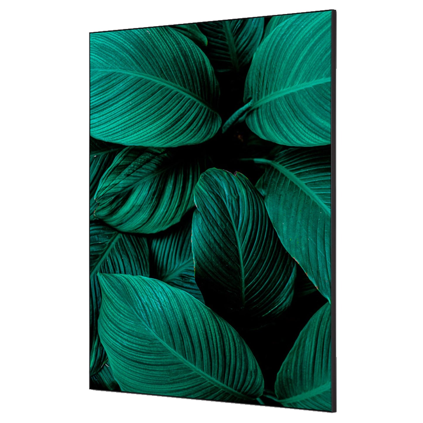 Showdown® Displays Dekobild Botanische Blätter 84,1 x 59,4 cm (B x H) Holz