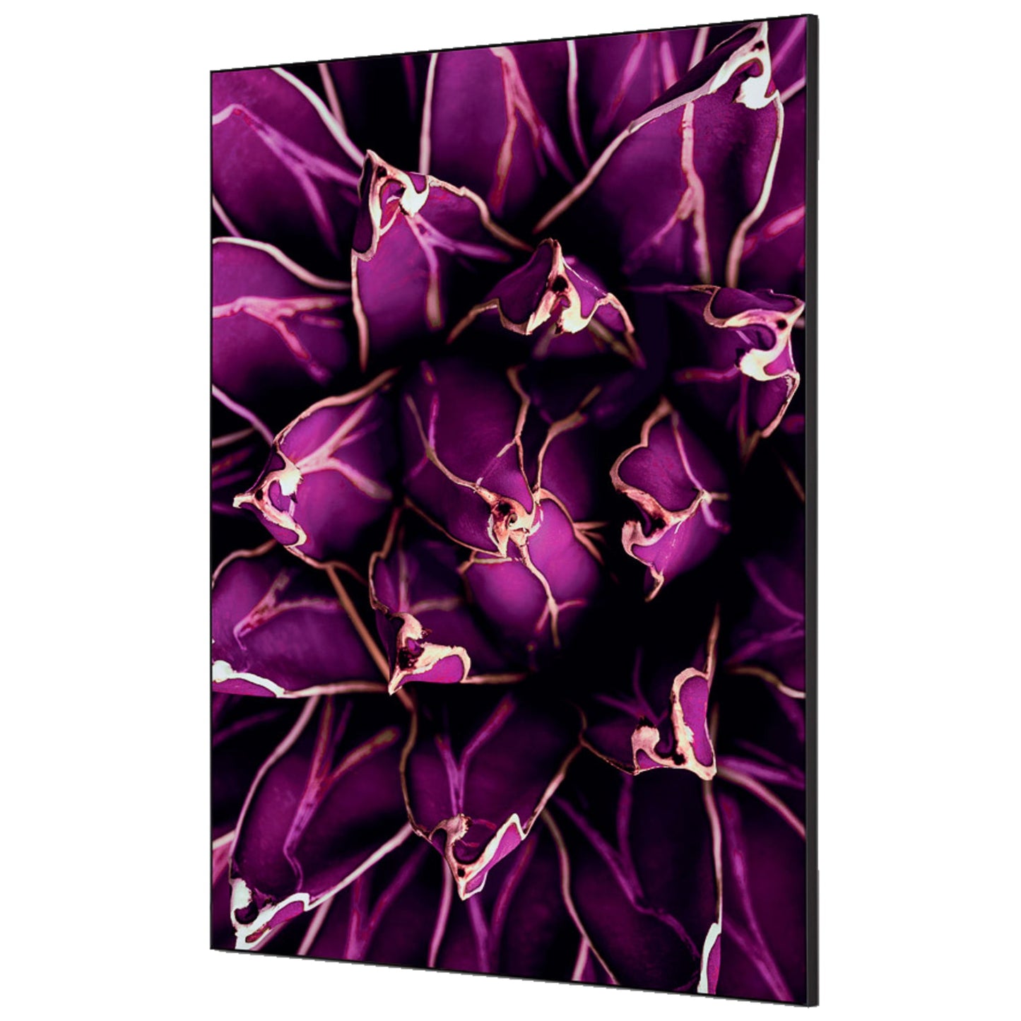Showdown® Displays Dekobild Kaktus 84,1 x 59,4 cm (B x H) Holz