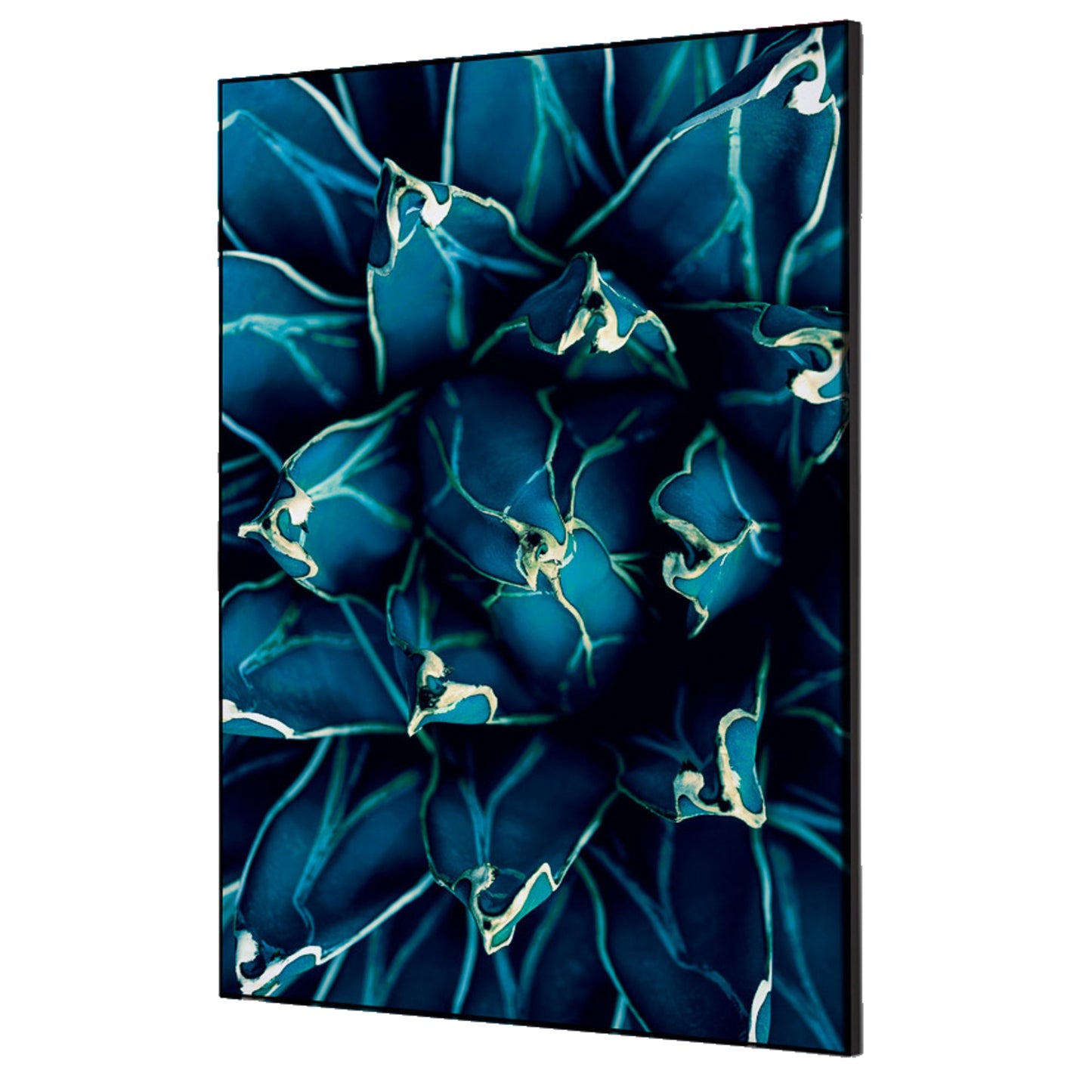 Showdown® Displays Dekobild Kaktus 42 x 59,4 cm (B x H) Holz