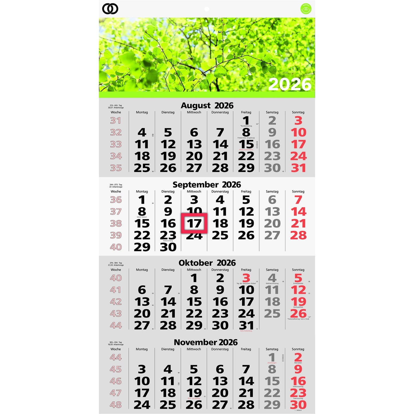 Soennecken Wandkalender oeco 33 x 58,8 cm (B x H) 2026 schwarz/rot