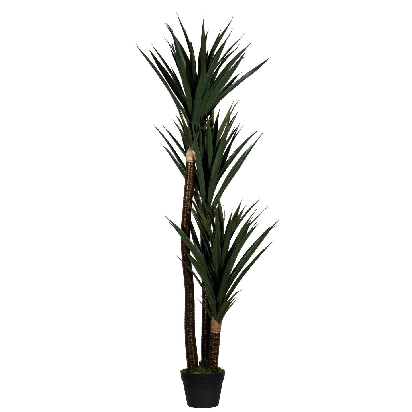 Paperflow Zimmerpflanze meet Yucca 150cm Polyethylen/Kunststoff grün