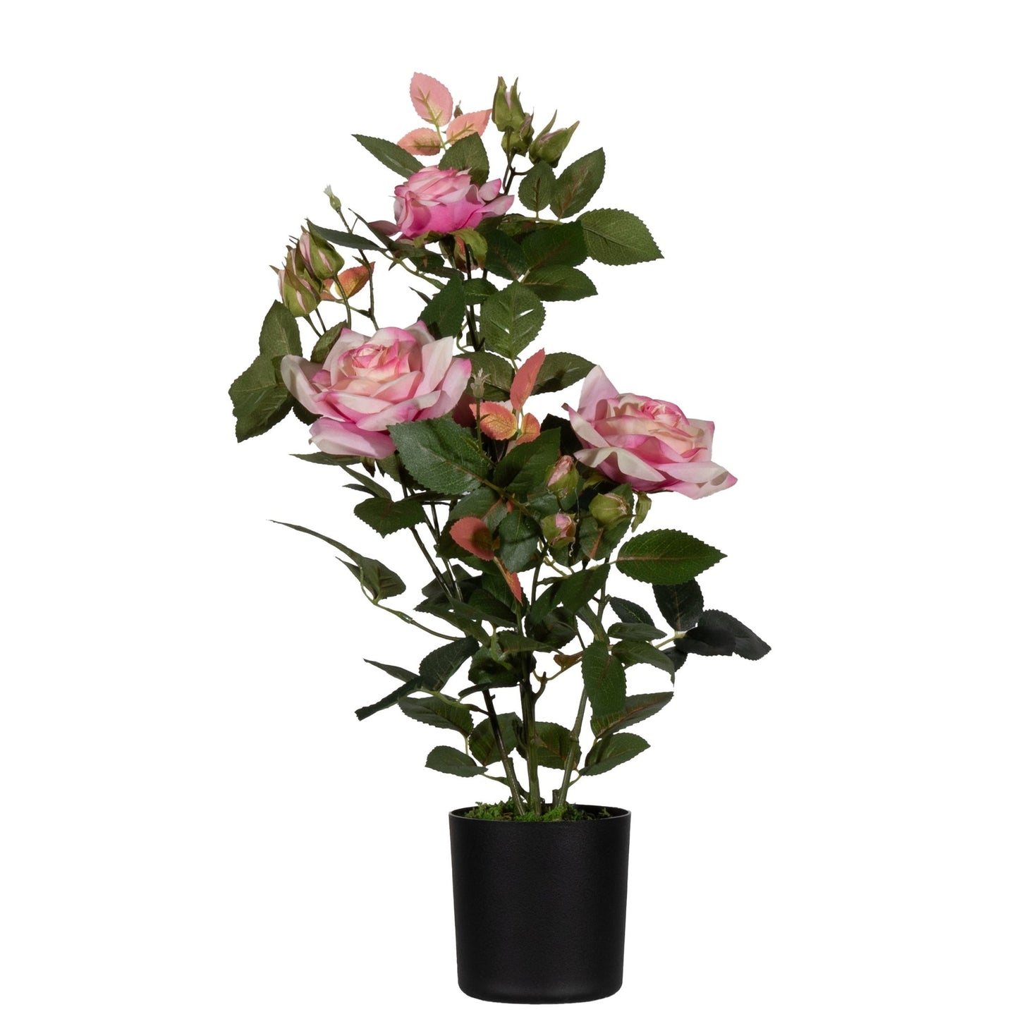 Paperflow Zimmerpflanze meet Rosenstock 54cm Polyester/Polyethylen grün/rose