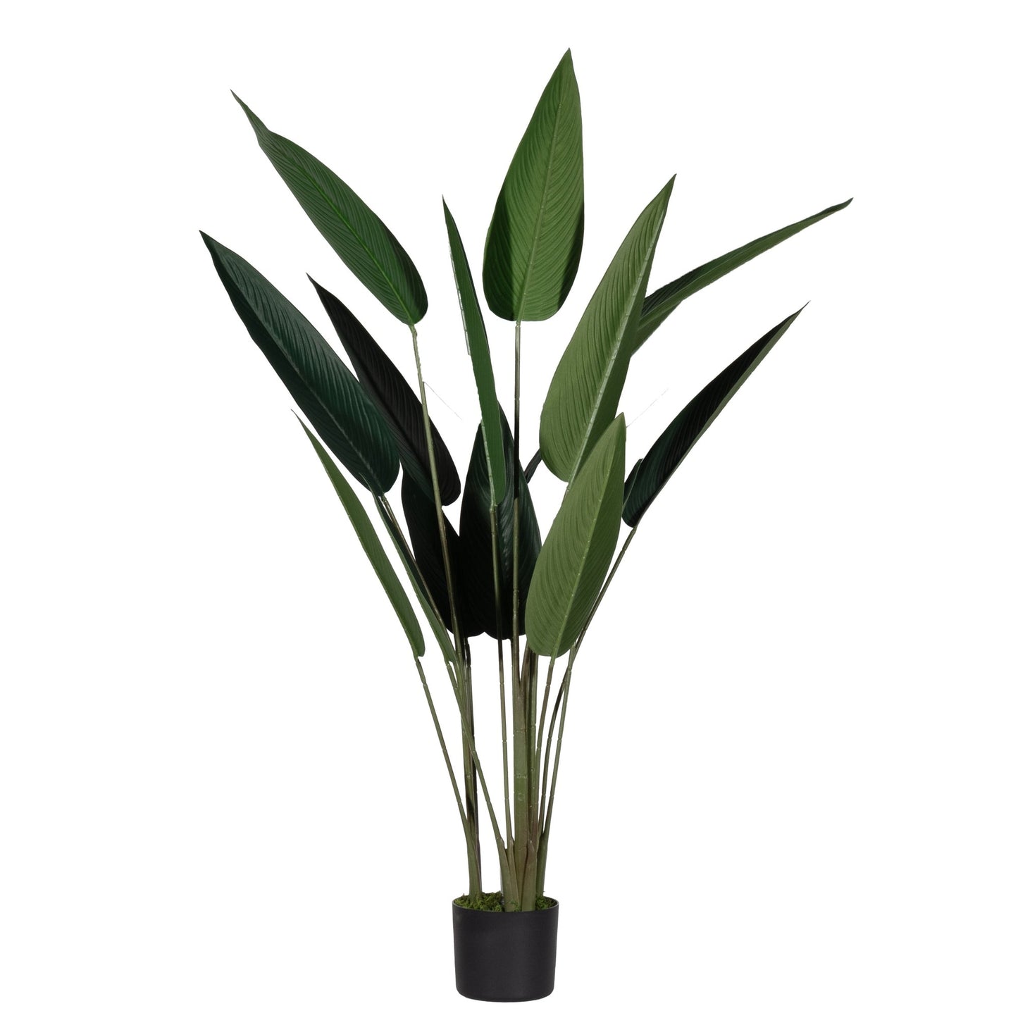 Paperflow Zimmerpflanze meet Paradiesvogelblume 140cm Stoff/Kunststoff/Polyethylen grün