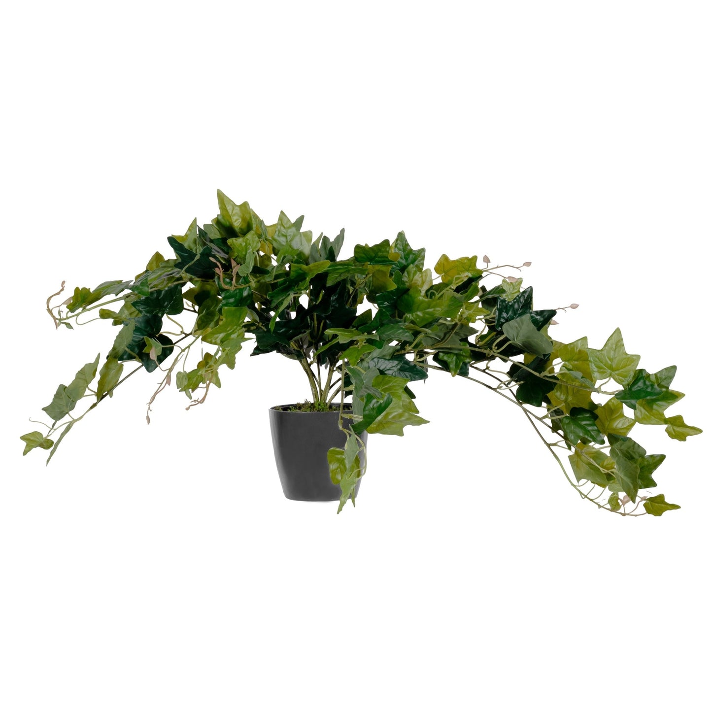 Paperflow Zimmerpflanze meet Efeu 80cm Stoff/Polyethylvinylacetat/Kunststoff grün