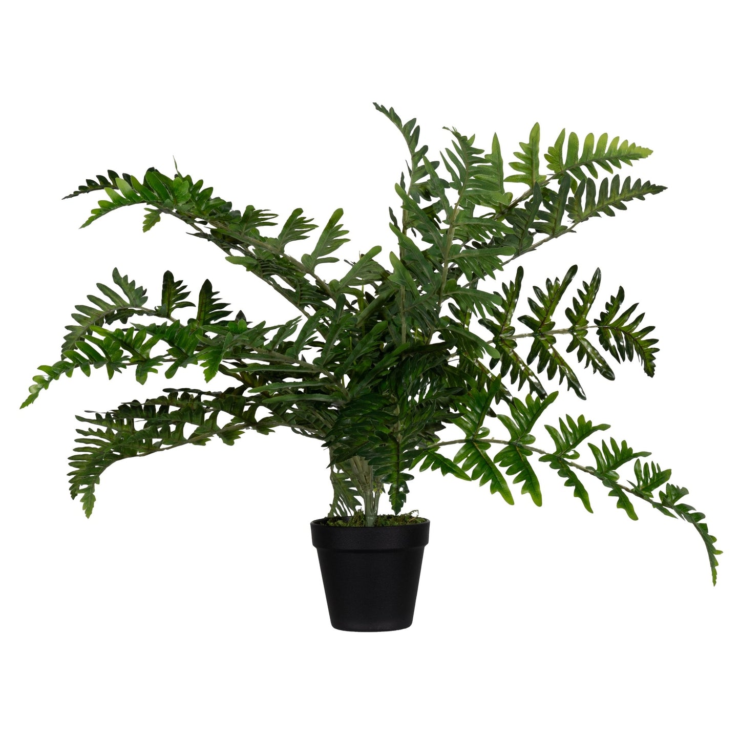 Paperflow Zimmerpflanze meet Farn 55cm Polyethylvinylacetat/Kunststoff grün