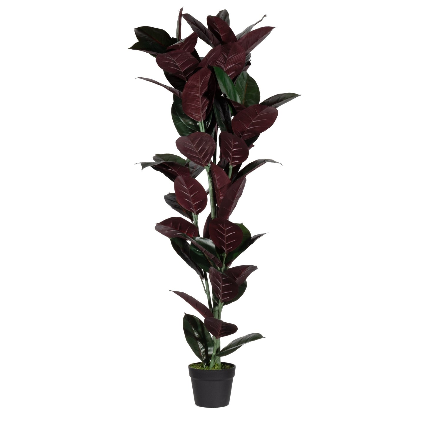 Paperflow Zimmerpflanze meet Gummibaum 120cm Polyethylvinylacetat/Kunststoff grün/bordeaux