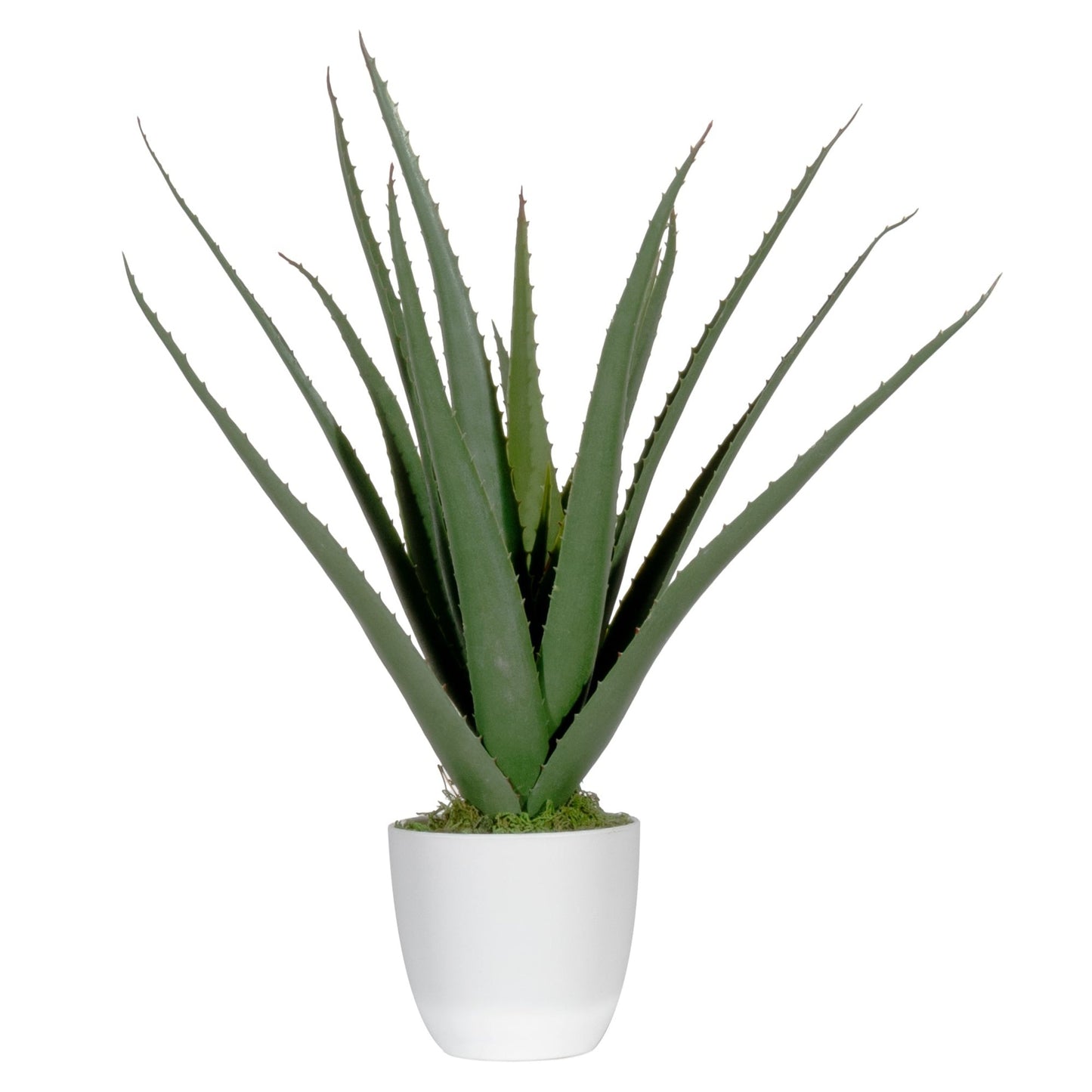 Paperflow Zimmerpflanze meet Aloe Vera 45cm Polyethylen/Kunststoff grün