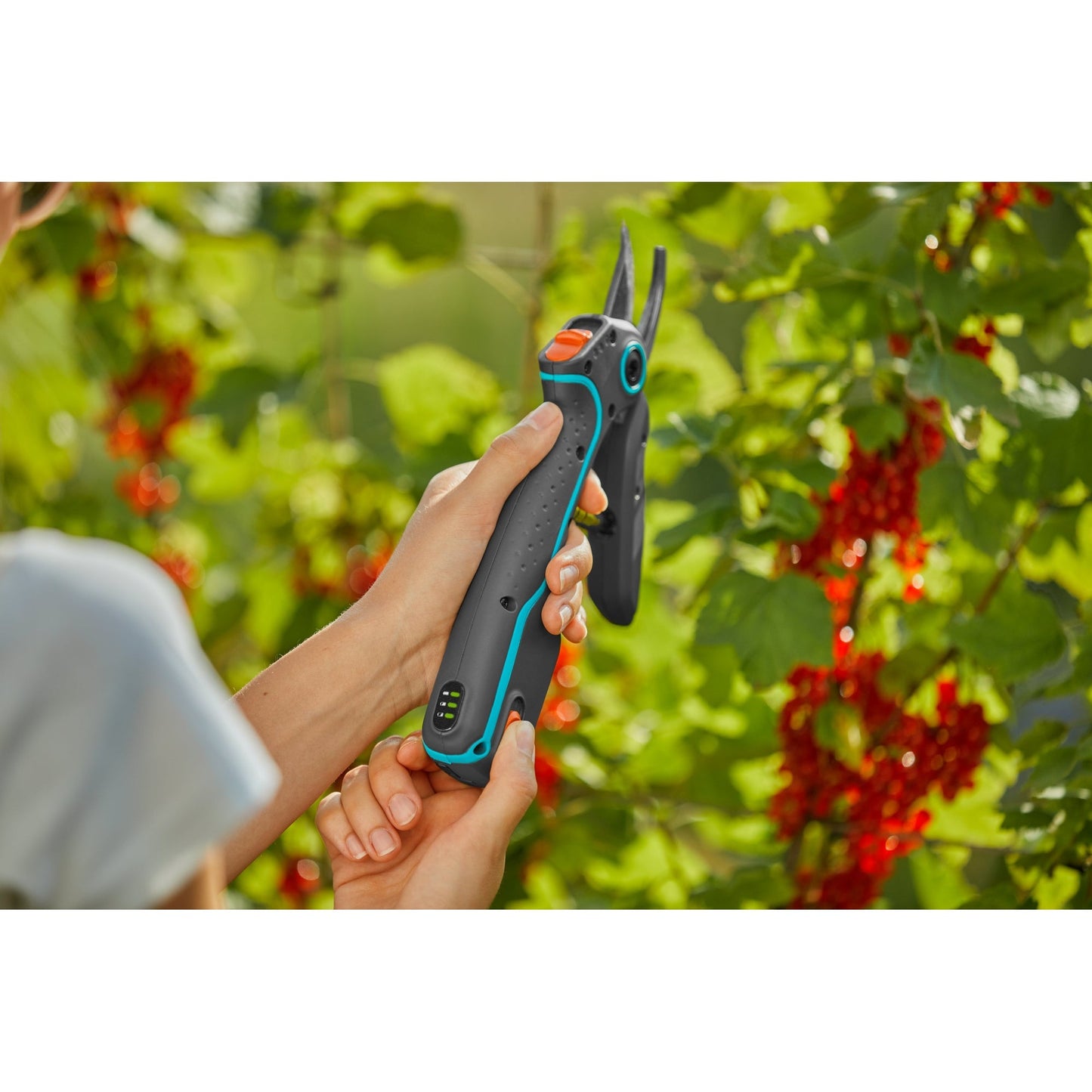 GARDENA Gartenschere AssistCut Material der Klinge: Edelstahl Material des Griffes: Kunststoff