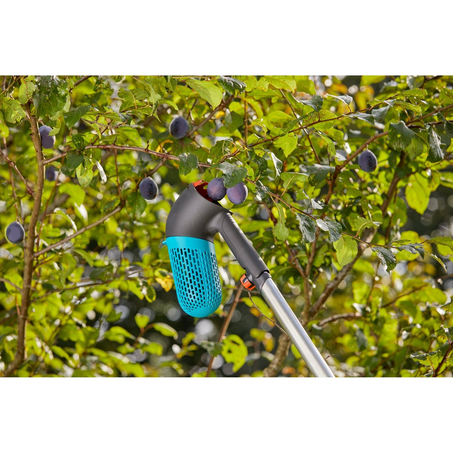 GARDENA Beerensammler combisystem 7,5cm 0,8l Kunststoff