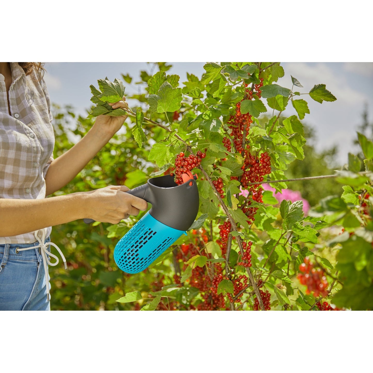 GARDENA Beerensammler combisystem 7,5cm 0,8l Kunststoff