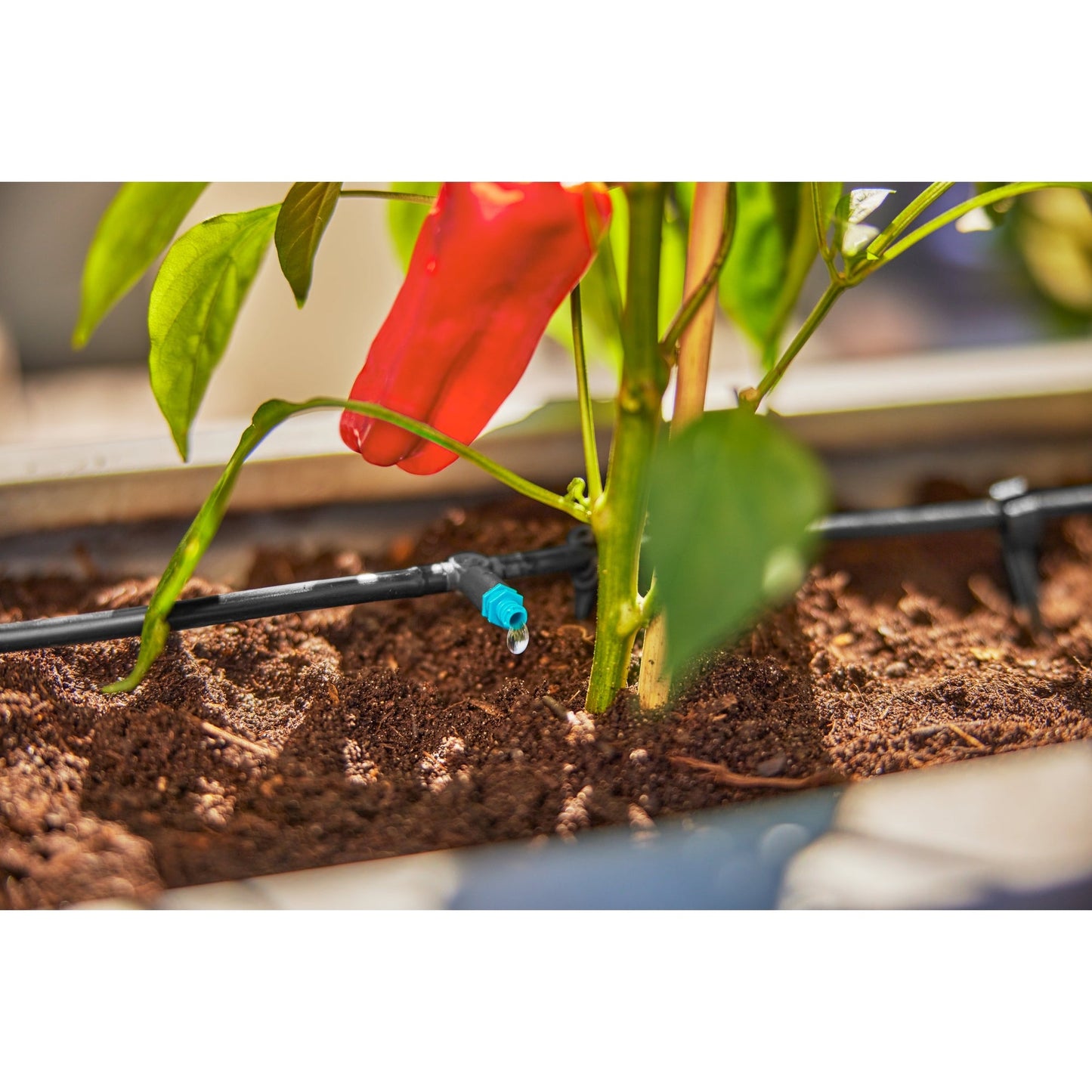 GARDENA Bewässerungssystem Terasse 1,5bar 0-15l/h 84 Teile optionales Zubehör: Gardena Wasserschlauch (18411-20, 04647-20, 18450-20, 18445-20, 18457-20, 18490-20), Bewässerungssteuerung (01891-20)