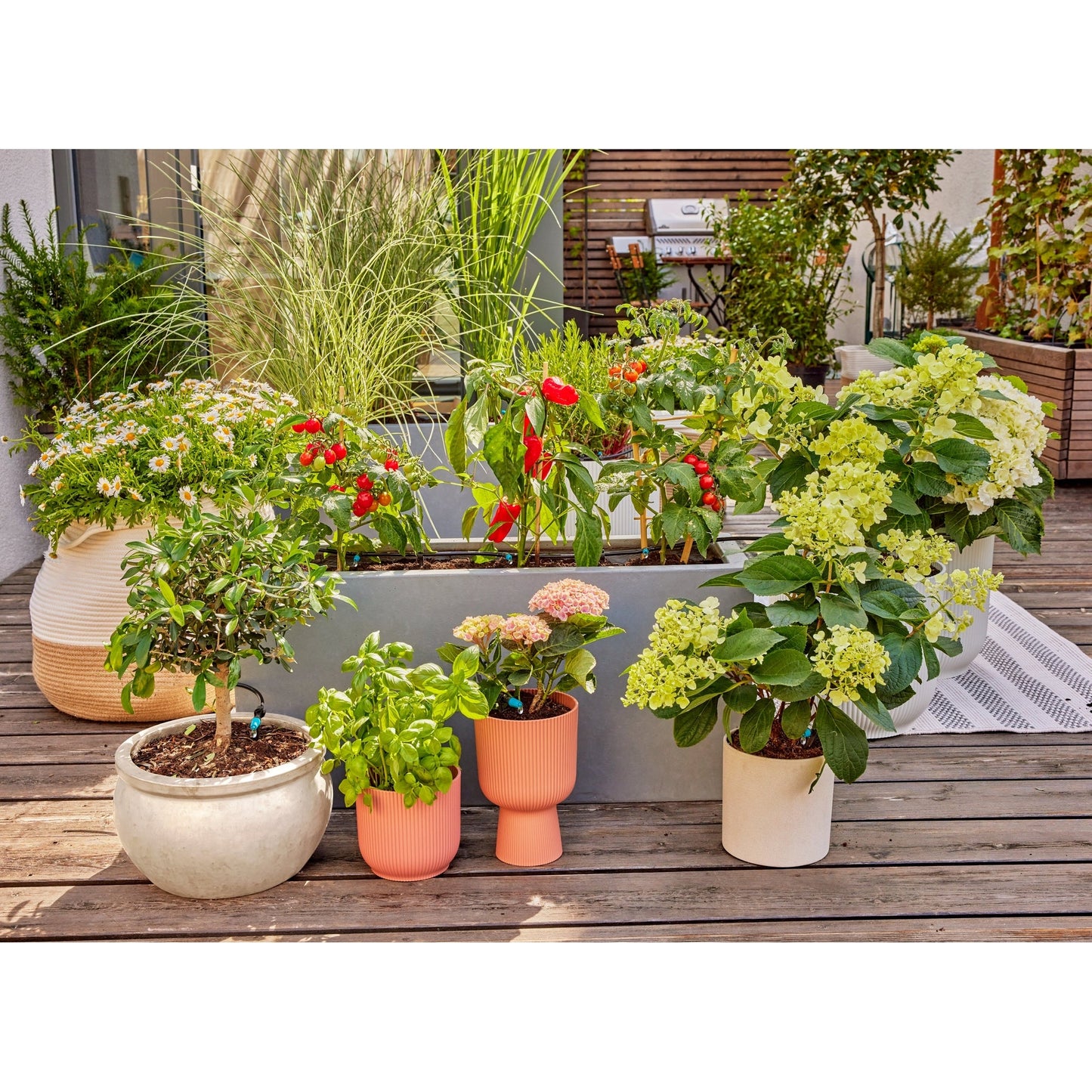 GARDENA Bewässerungssystem Terasse 1,5bar 0-15l/h 84 Teile optionales Zubehör: Gardena Wasserschlauch (18411-20, 04647-20, 18450-20, 18445-20, 18457-20, 18490-20), Bewässerungssteuerung (01891-20)