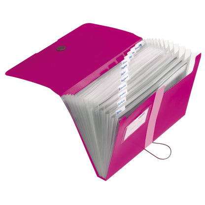 Herlitz Fächermappe easy orga to go DIN A4 Polypropylen beere 12 Fächer