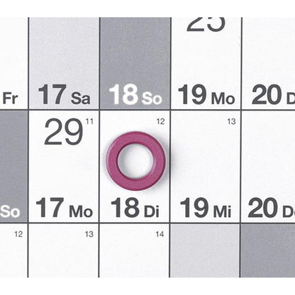 magnetoplan® Jahresplaner 121,5 x 91,5 cm (B x H) 35 Mitarbeiter/Projekte inkl. 1 Boardmarker, 1 OHP-Marker, 1 Datumsmagnet Aluminium weiß
