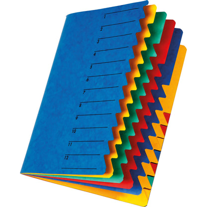 PAGNA Ordnungsmappe EASY DIN A4 225g/m² Pressspankarton Farbe: blau Farbe des Fächerblocks: mehrfarbig 12 Fächer