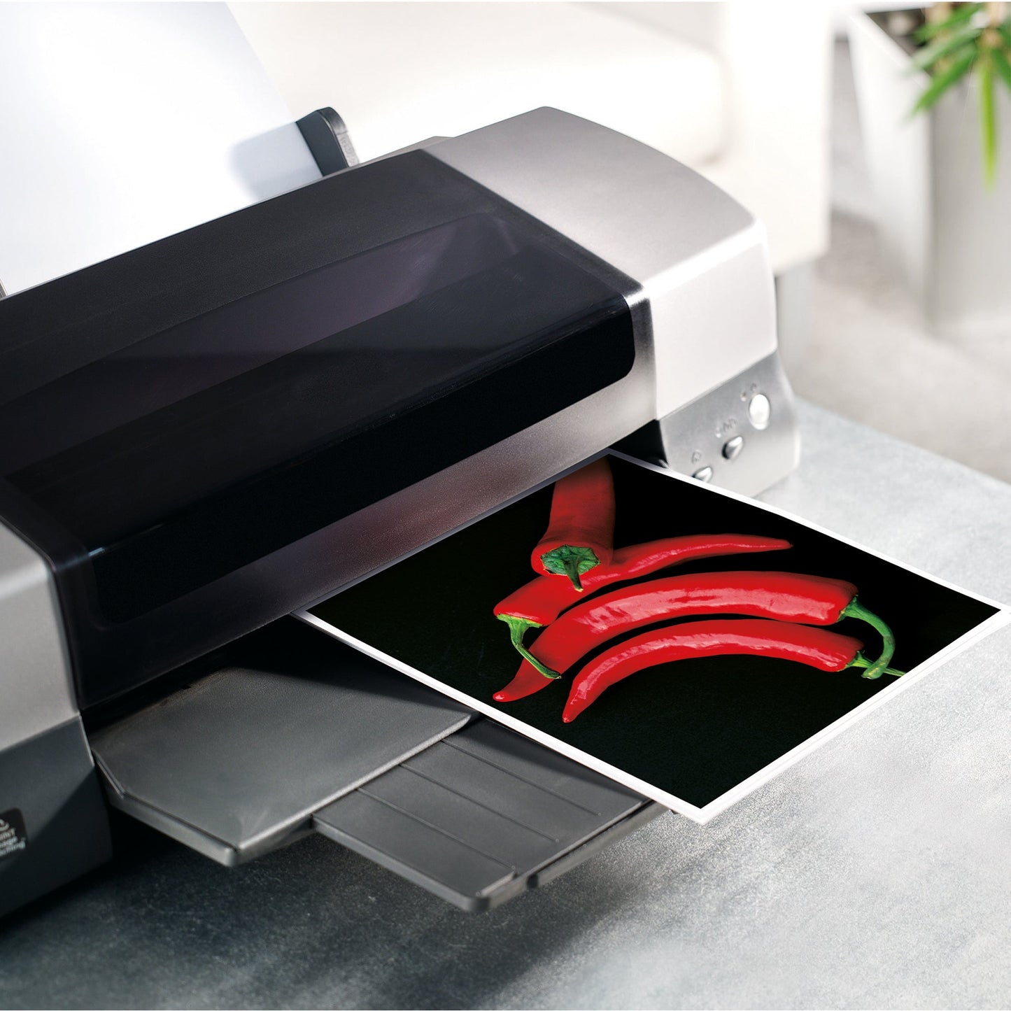 SIGEL Fotopapier Everyday DIN A4 200g/m² weiß hochglänzend 20 Bl./Pack.