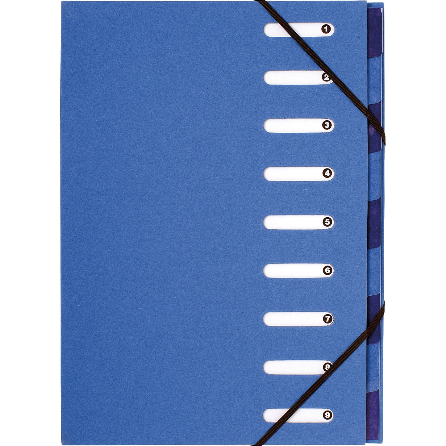 Exacompta Ordnungsmappe Forever DIN A4 270g/m² Karton, 100 % recycelt Farbe: hellblau/dunkelblau 9 Fächer